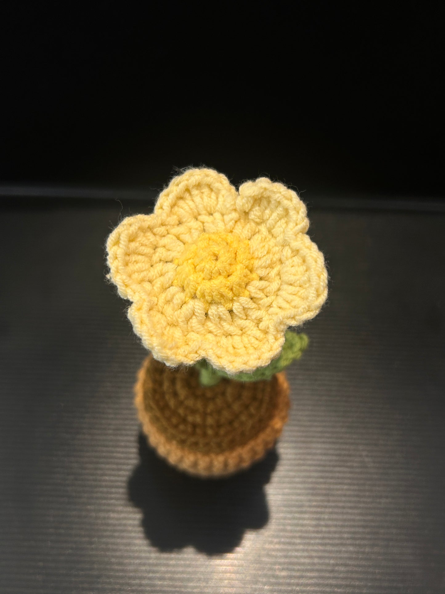 Daisy Pot (Single)
