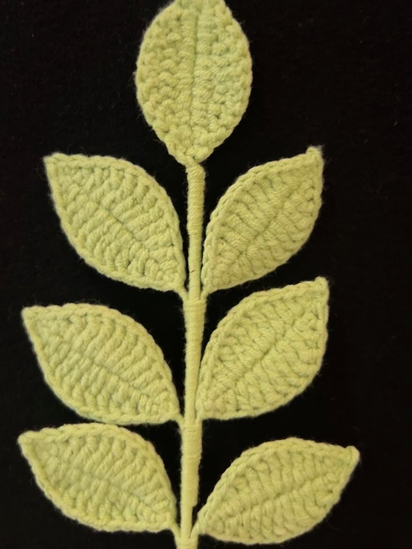 Pinnate Leaves