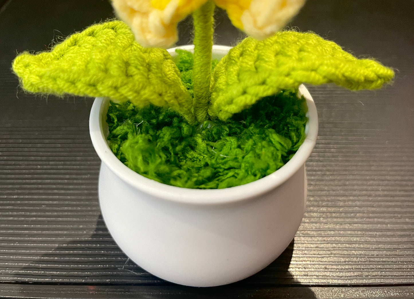 Sunflower in White Pot