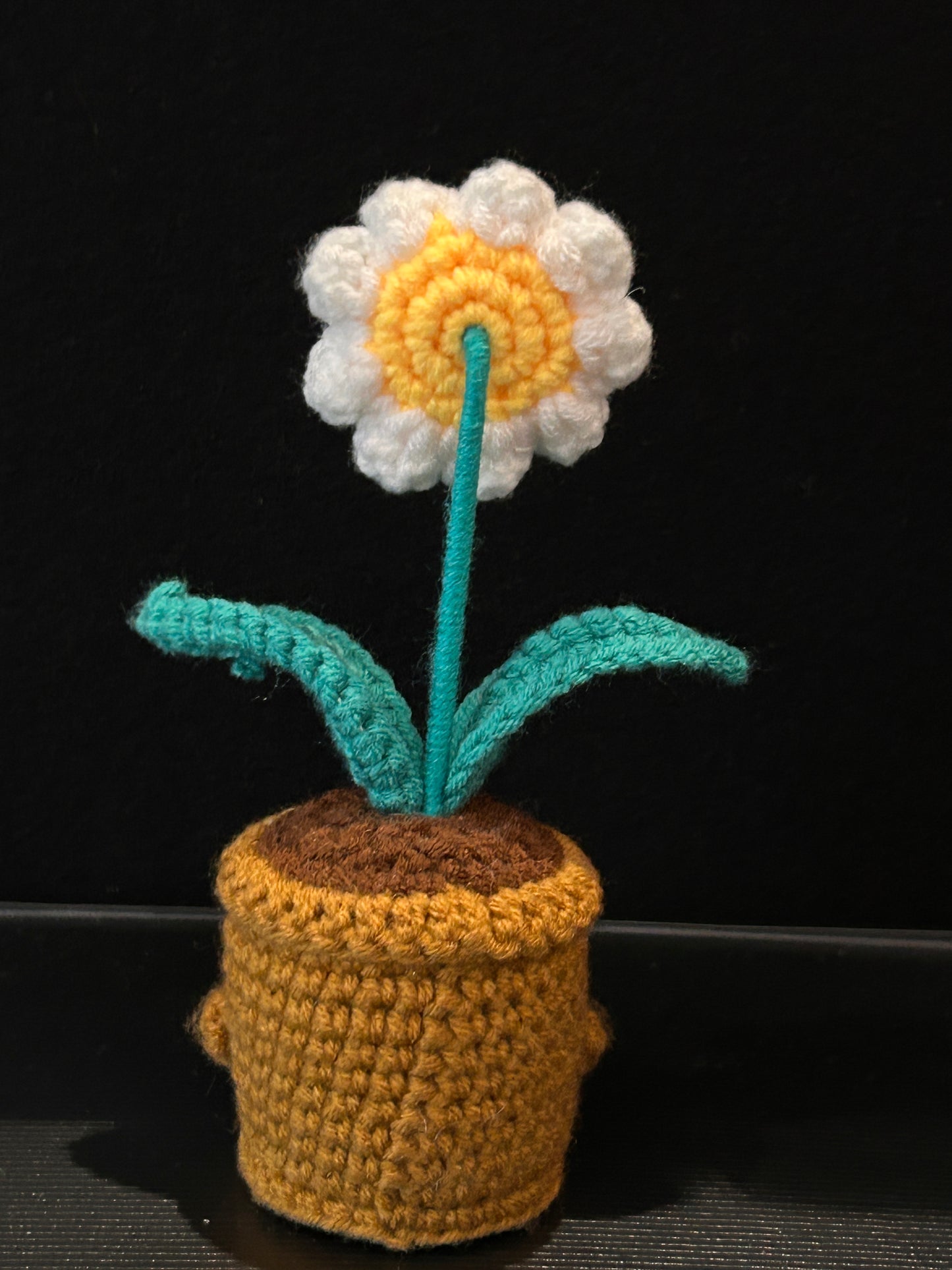 Emotional Support Plant (Daisy)
