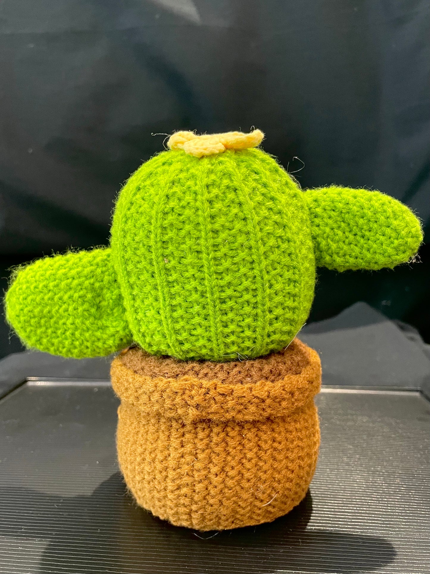 Emotional Support Plant (Cactus)