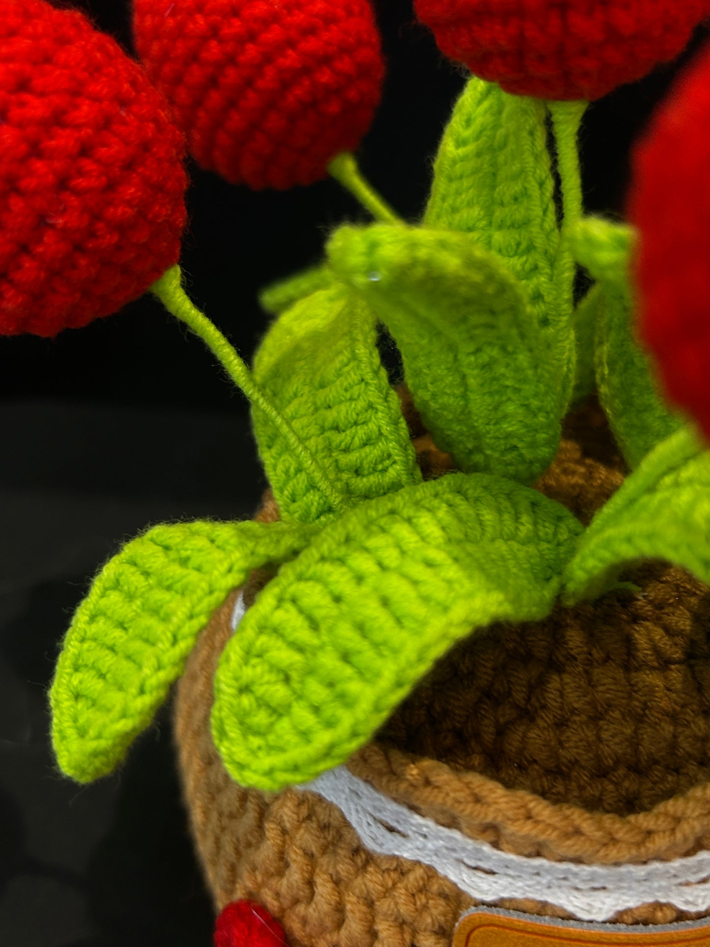 Tulip Pot (Pure Color)