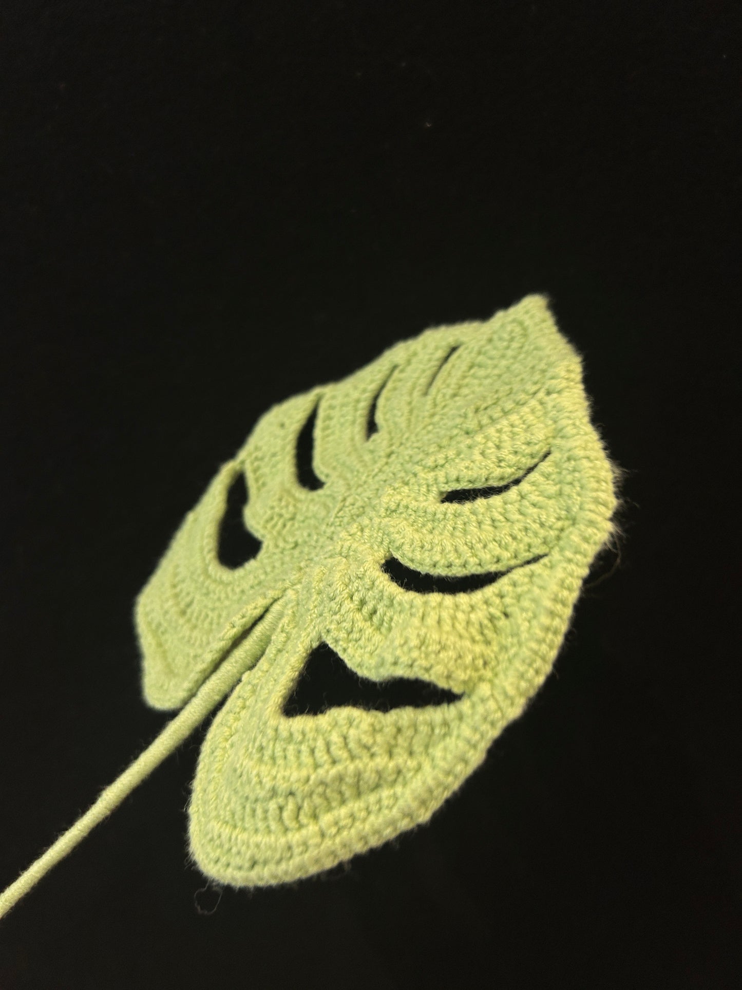 Lobed Leaf