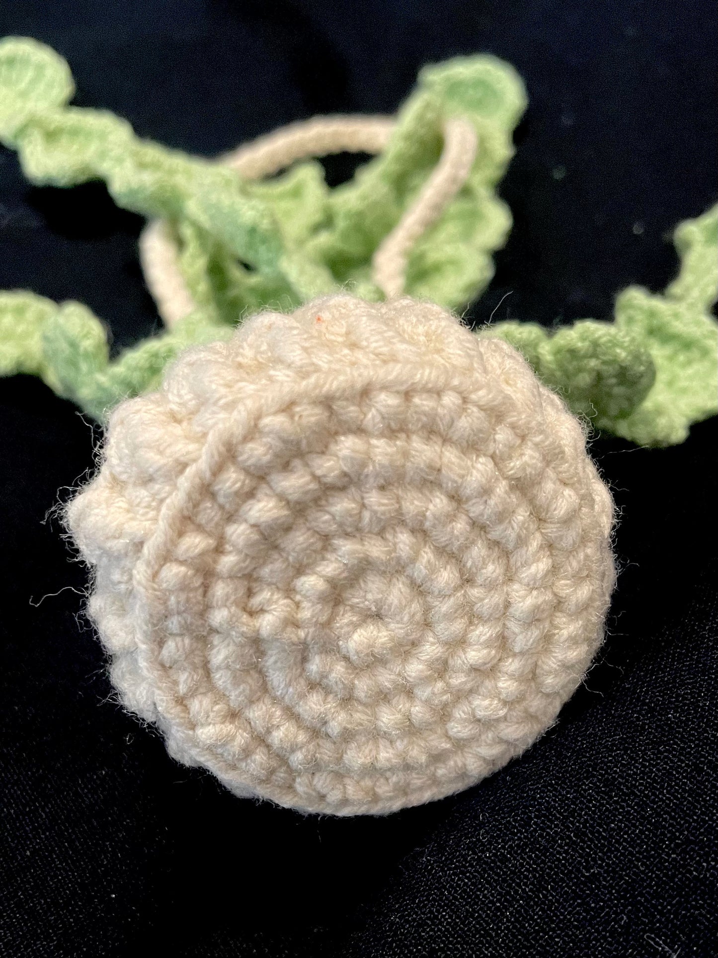 Handmade Crochet Hanging Flower Basket —— Leaf