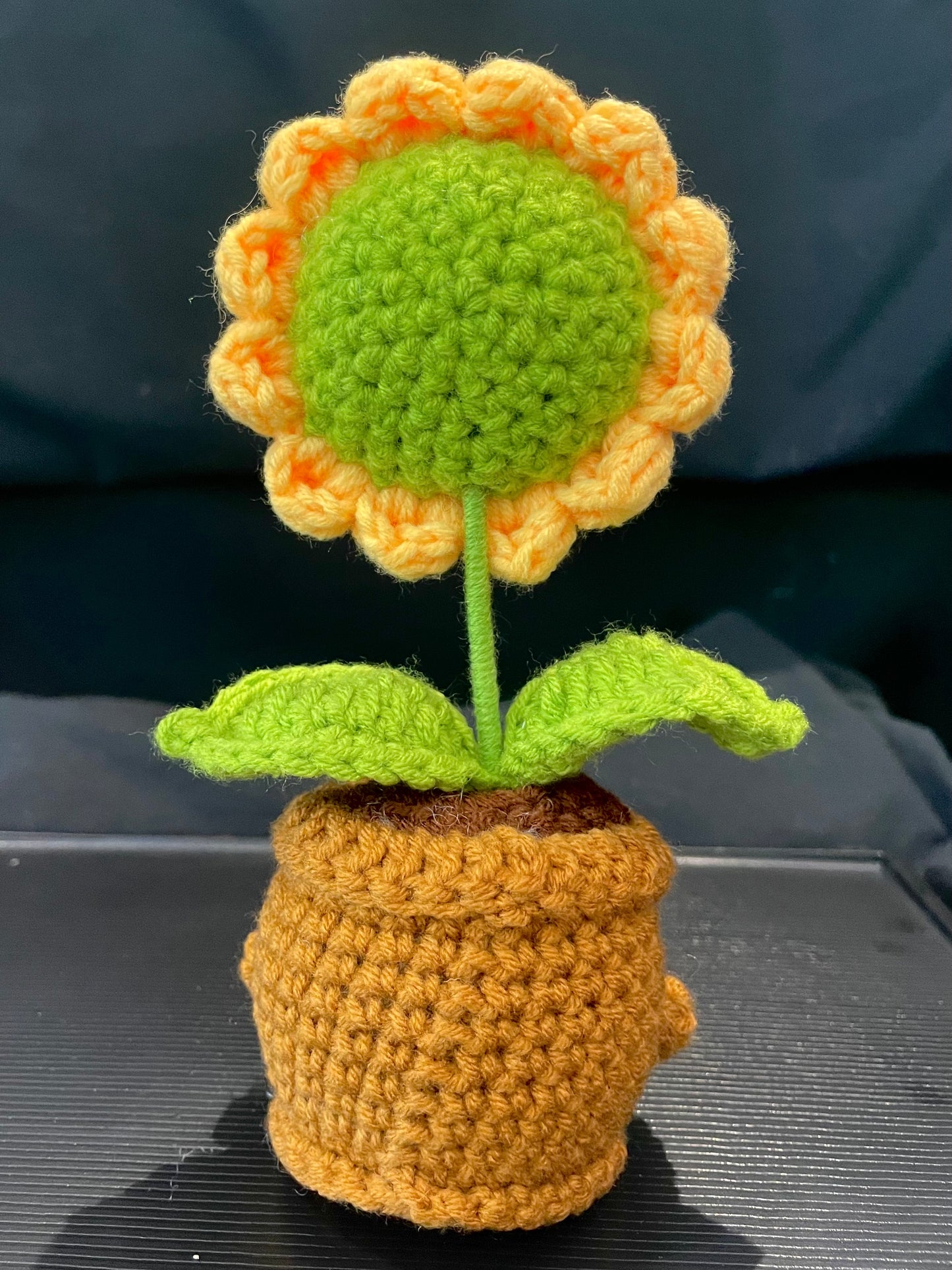 Emotional Support Plant (Sunflower)