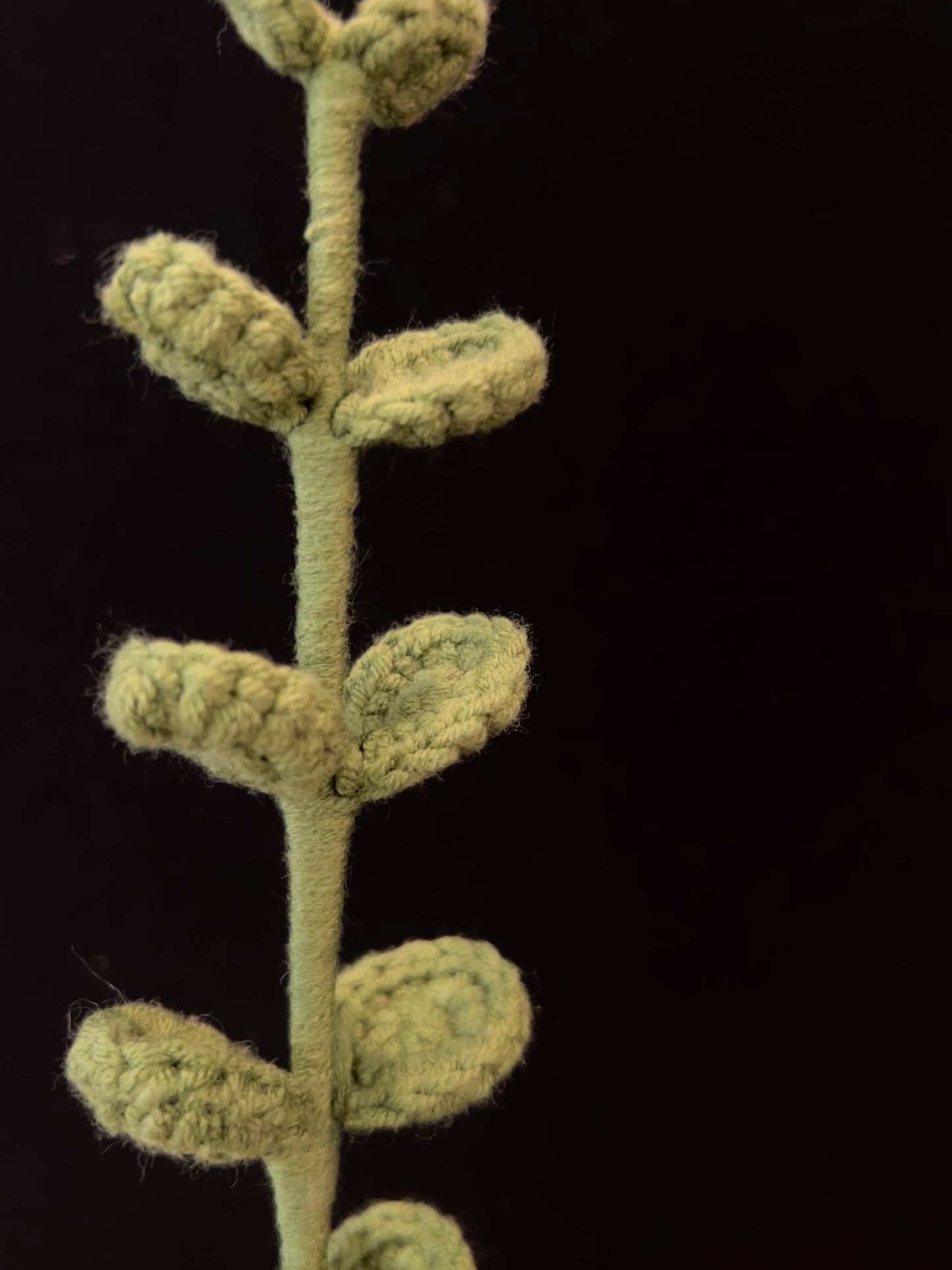 Handmade Crochet Long Stem Leaves —— Simple Alternate Leaves