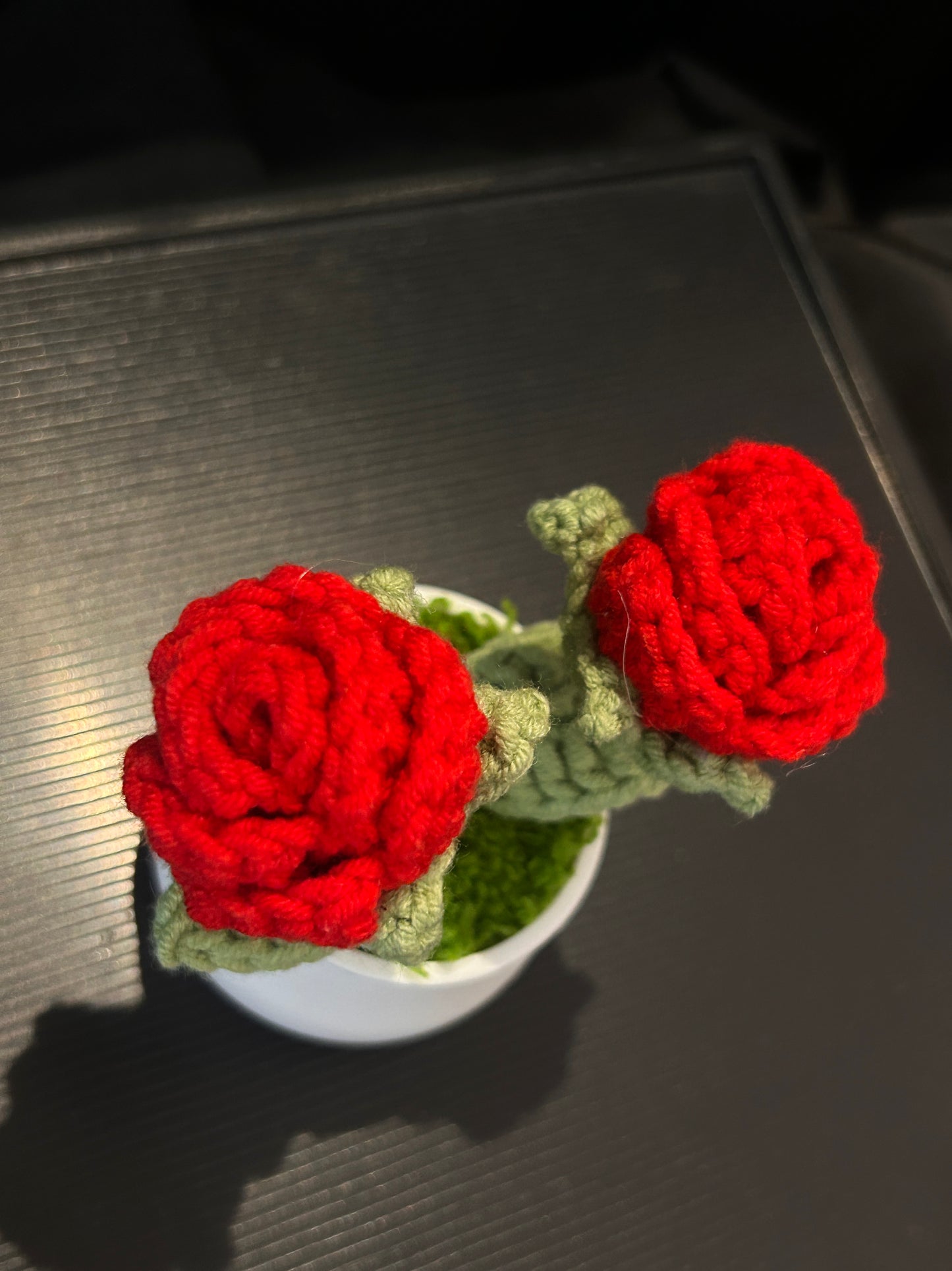 Rose in White Pot