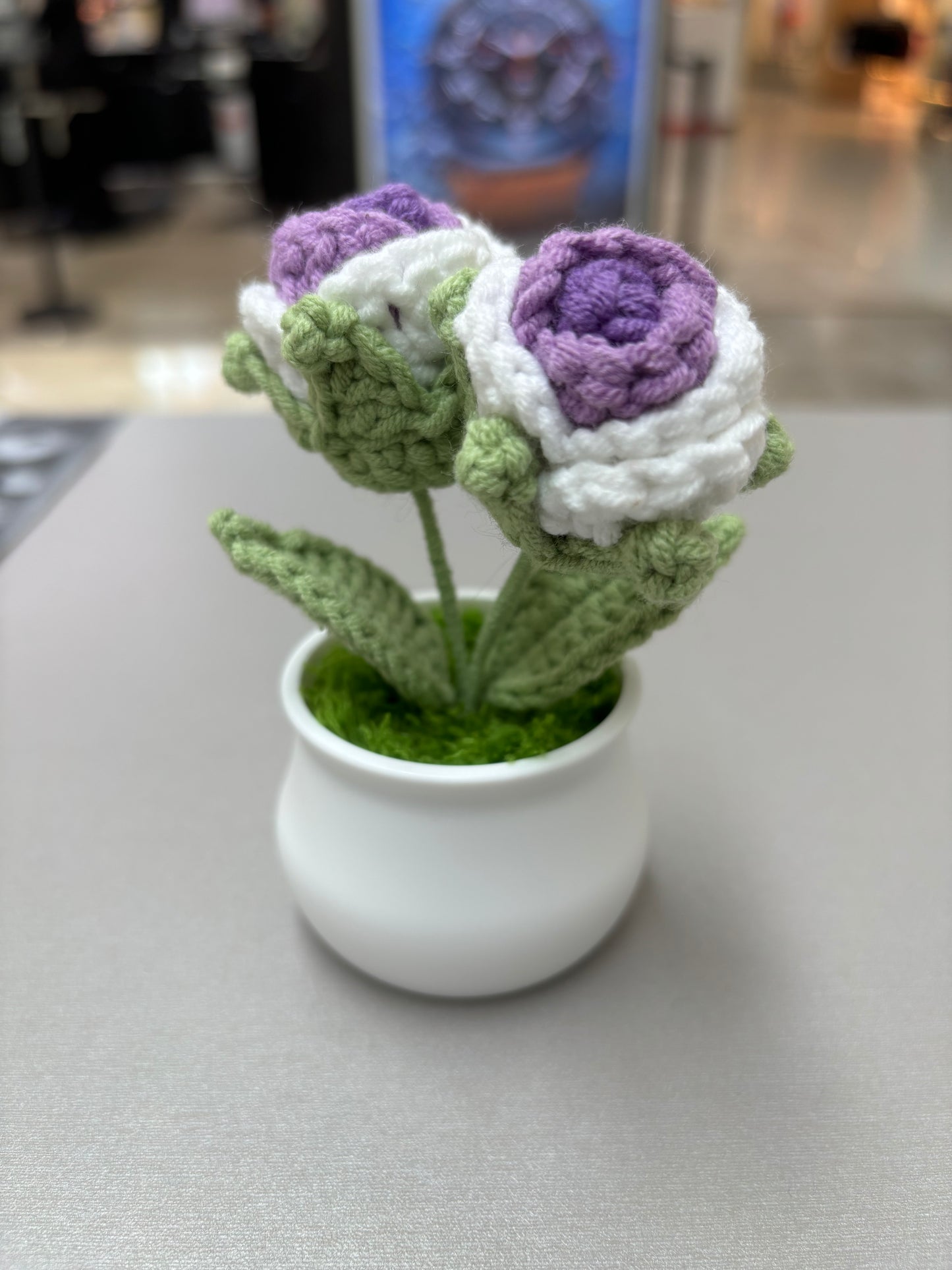 Hand-Crocheted Double Purple and White Rose in White Pot