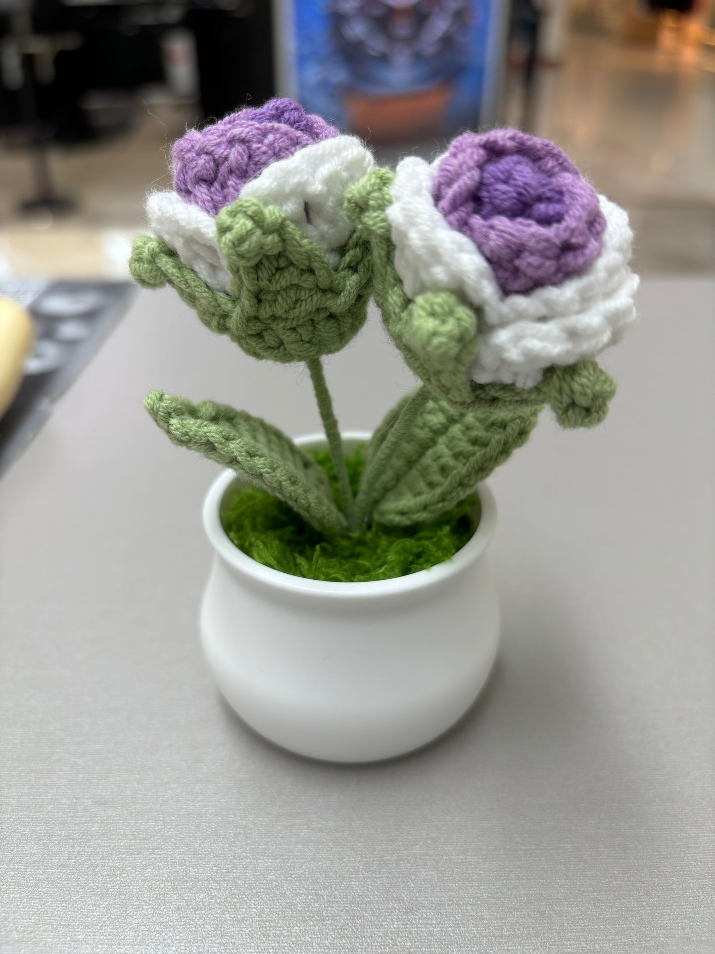 Hand-Crocheted Double Purple and White Rose in White Pot