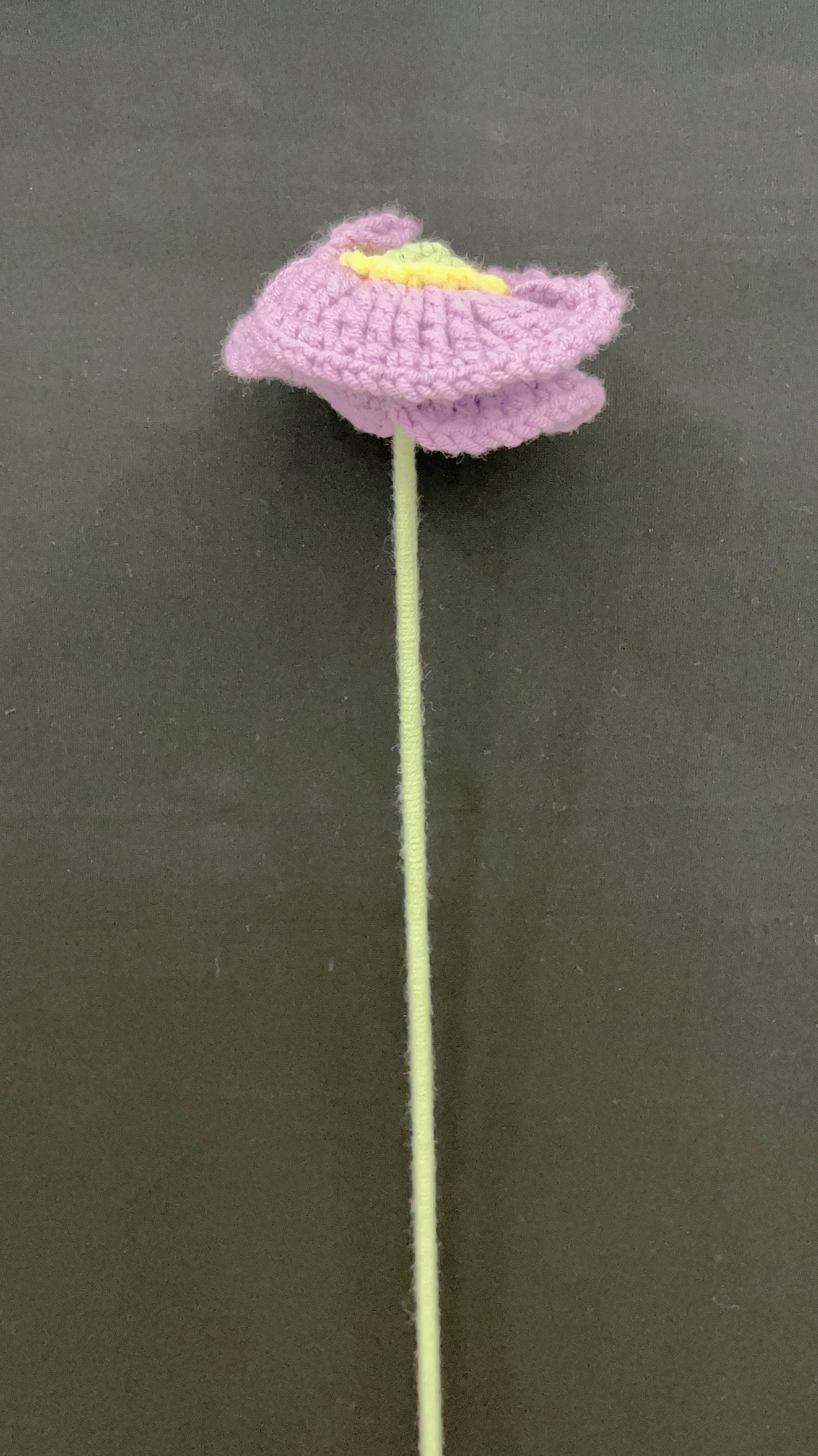 Handmade colorful Poppy