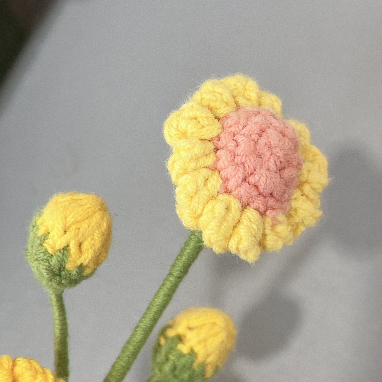 Handmade Crochet Daisy with Buds
