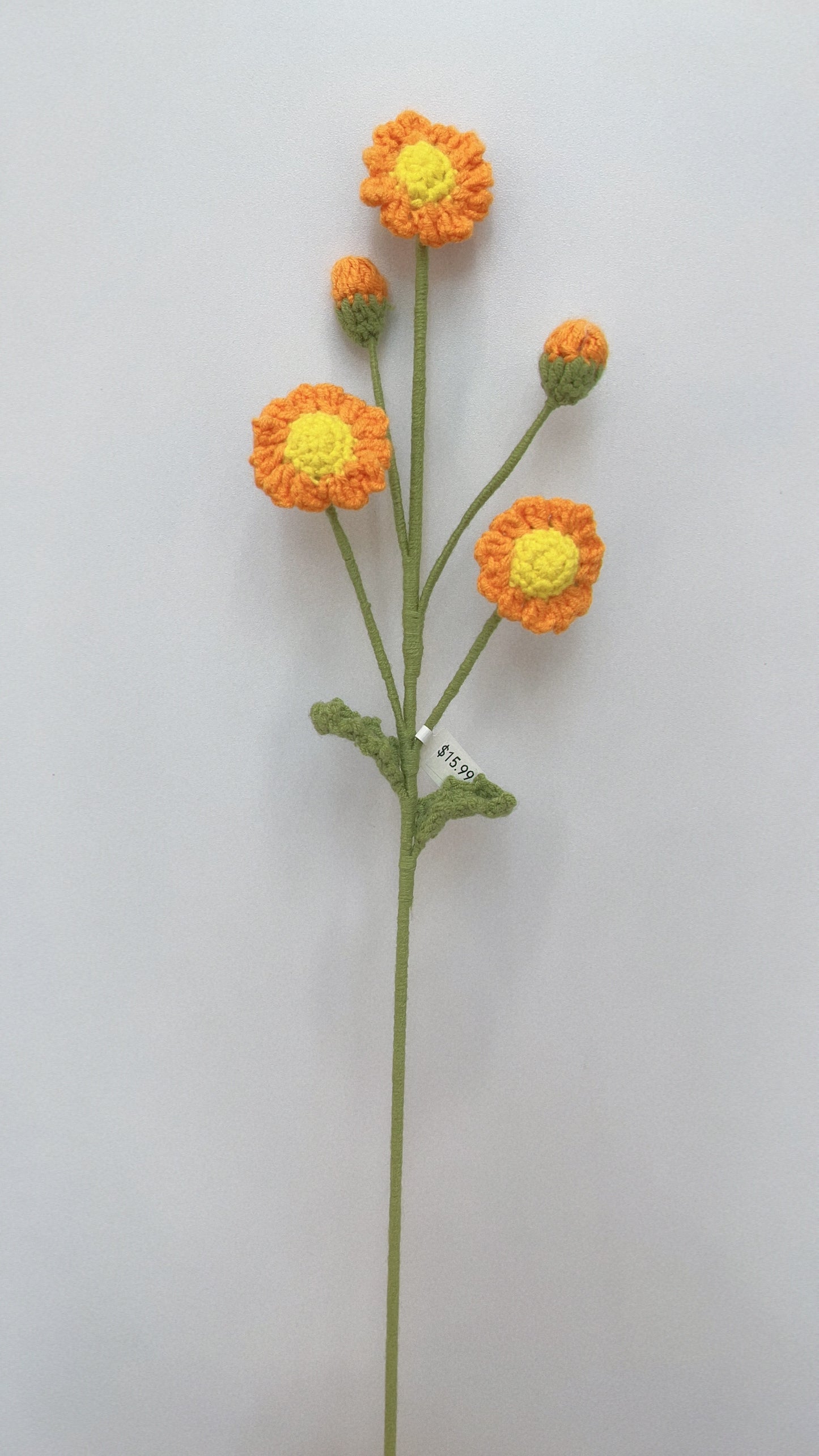 Handmade Crochet Daisy with Buds