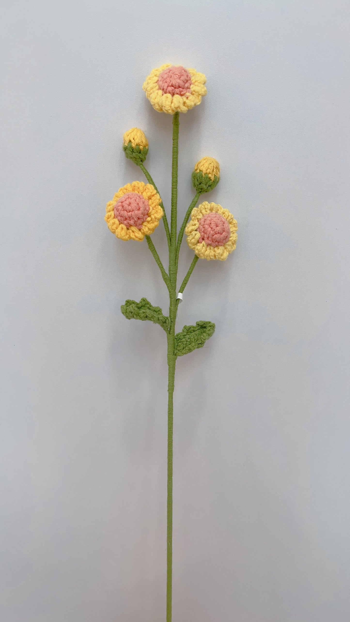Handmade Crochet Daisy with Buds