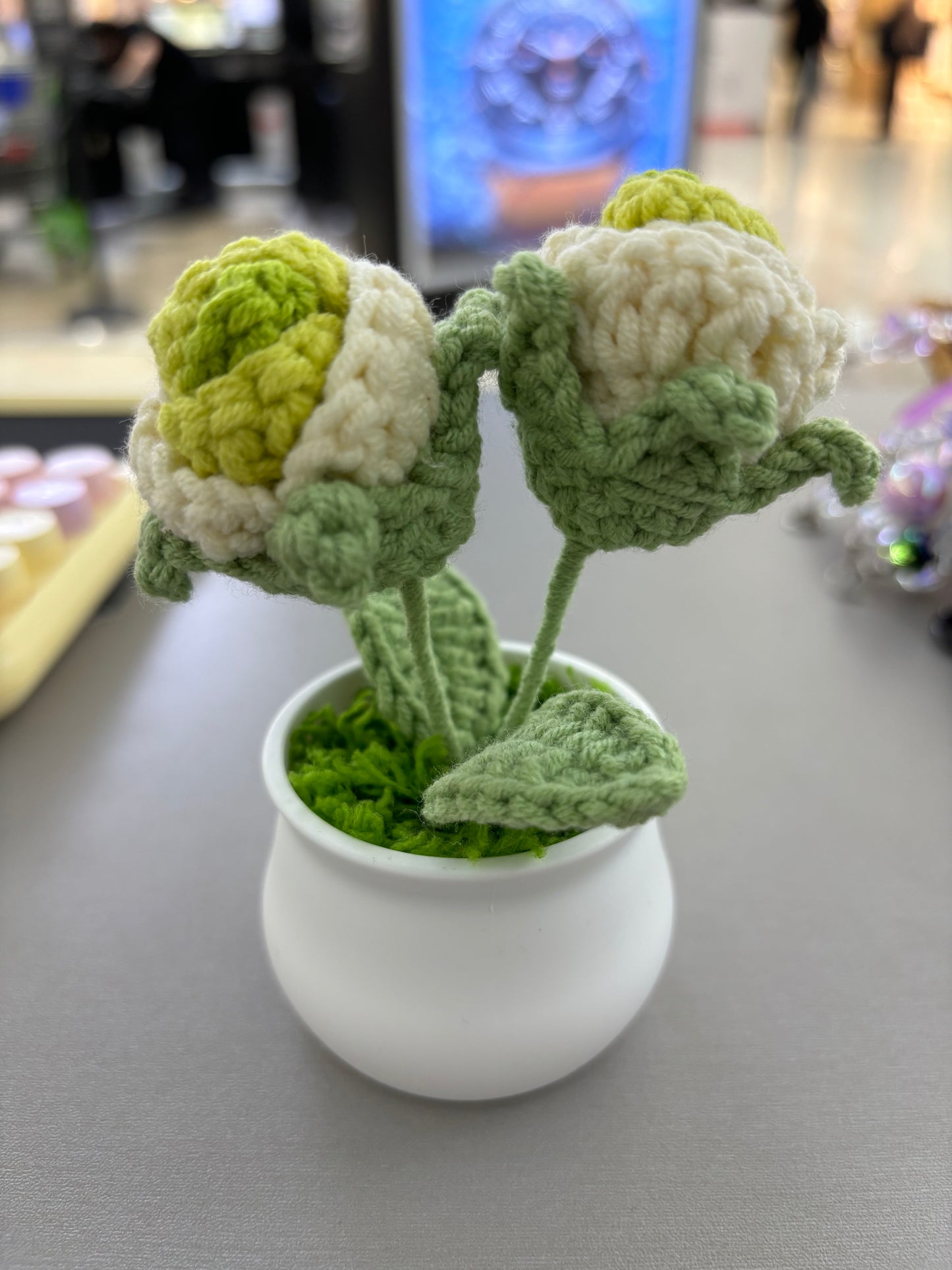 Hand-Crocheted Green and White Rosebuds in White Pot