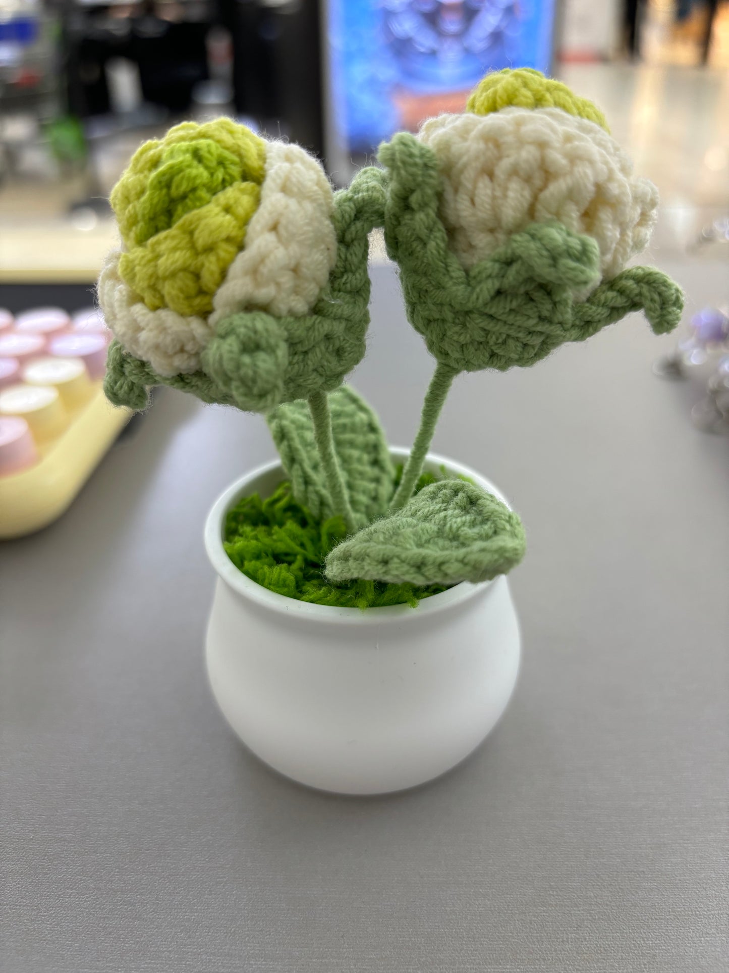 Hand-Crocheted Green and White Rosebuds in White Pot