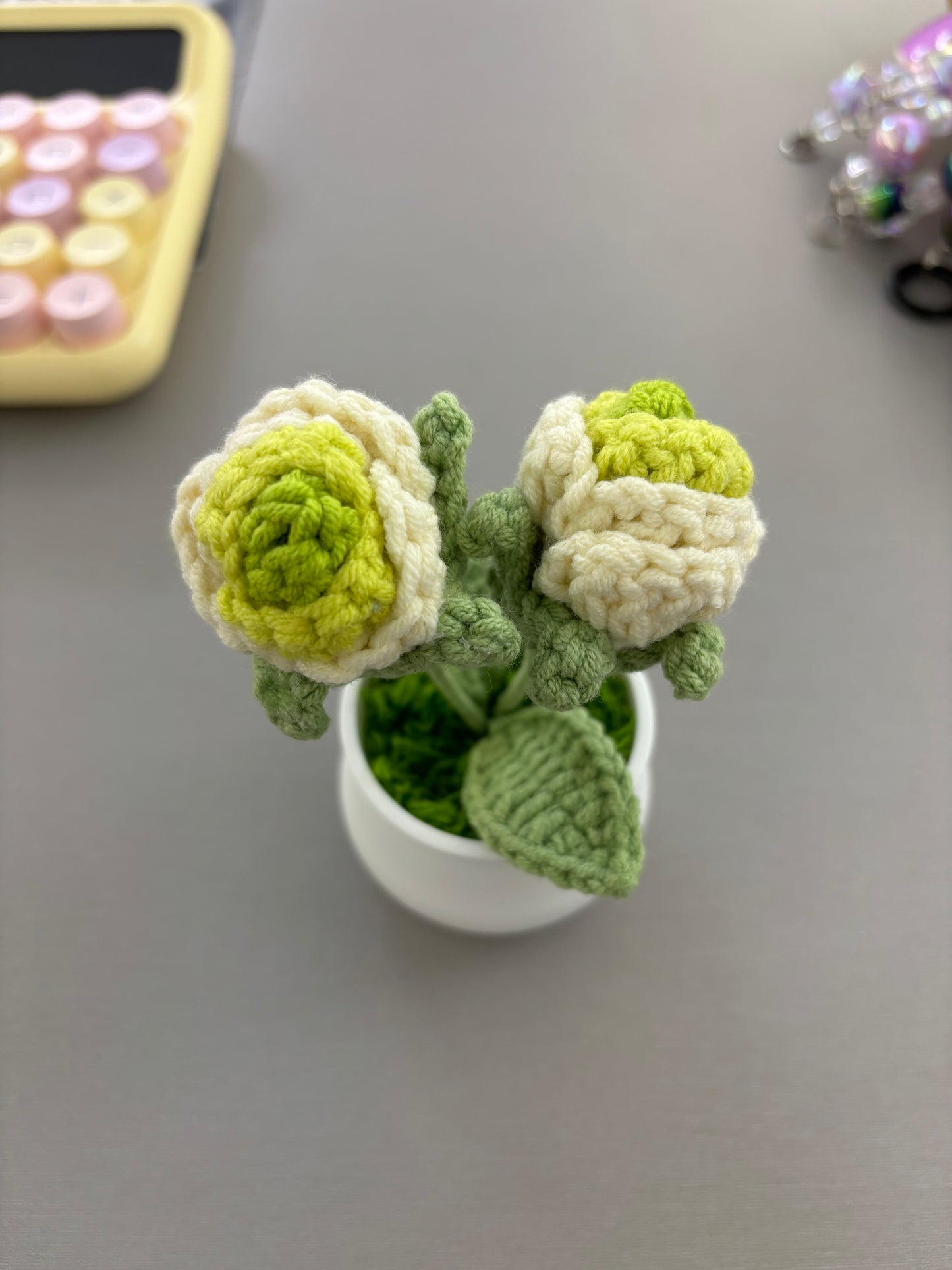 Hand-Crocheted Green and White Rosebuds in White Pot
