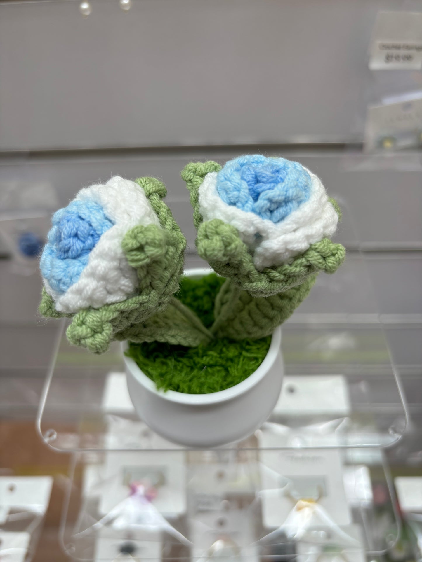 Hand-Crocheted Double Red Rose in White Pot