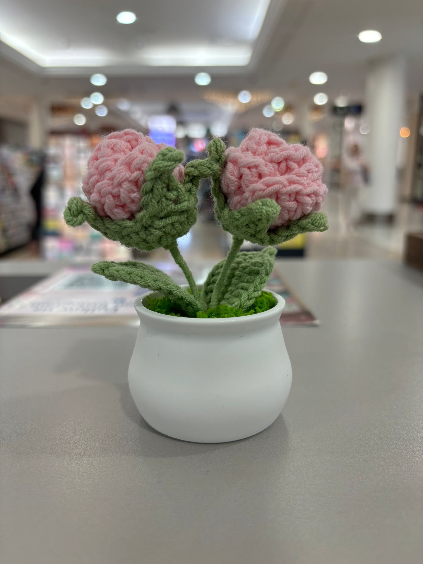 Hand-Crocheted Double Red Rose in White Pot