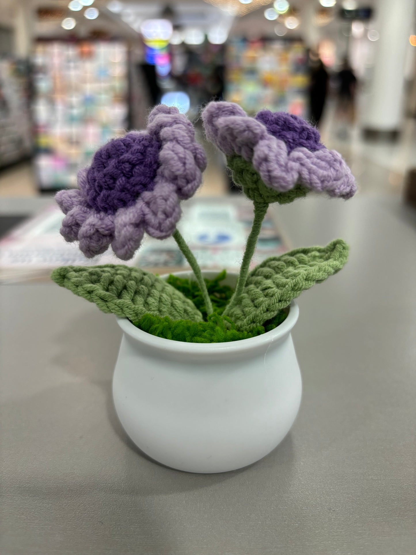 Hand-Crocheted Purple Daisy Flowers in Decorative Plastic Pot
