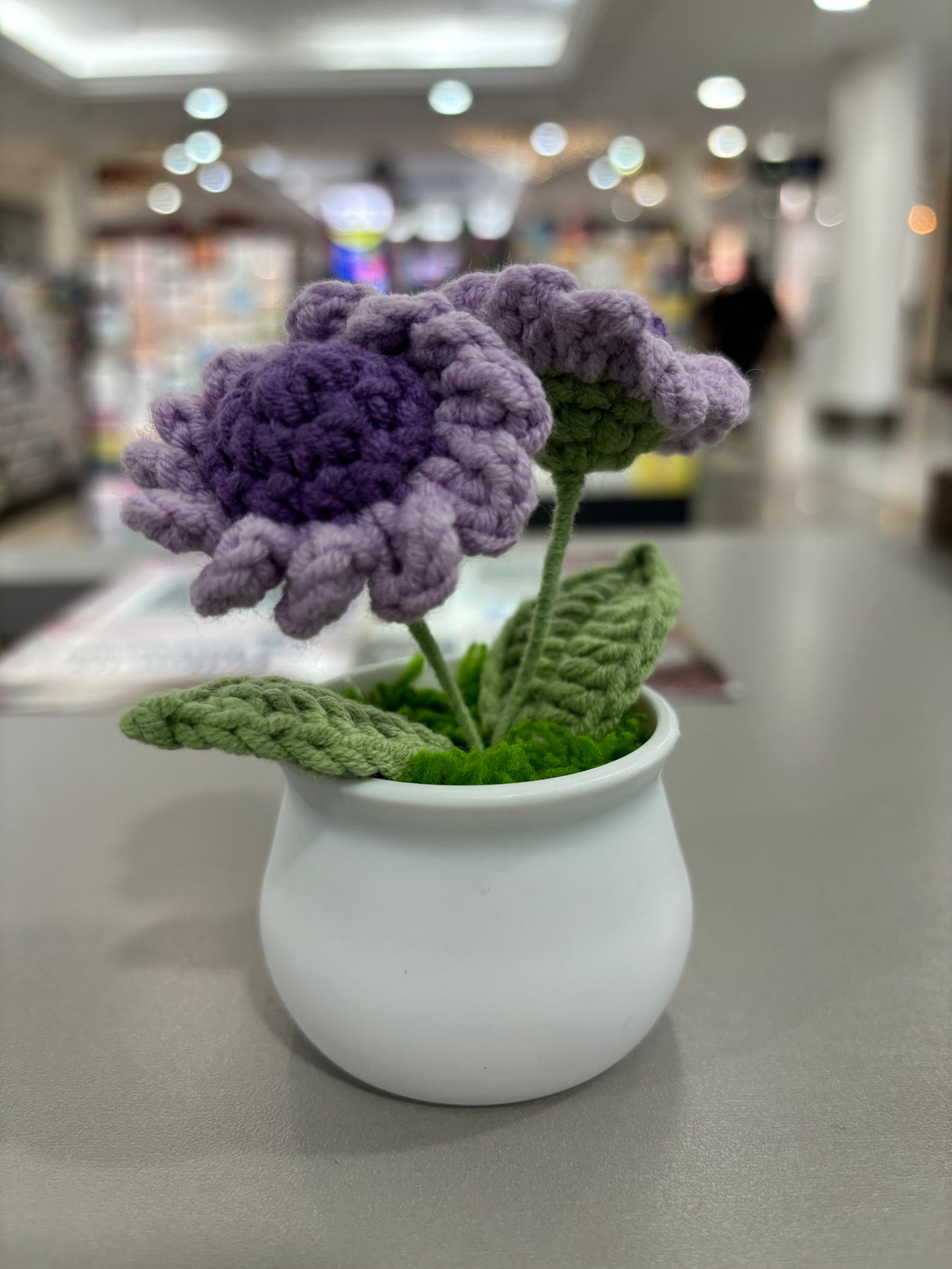 Hand-Crocheted Purple Daisy Flowers in Decorative Plastic Pot