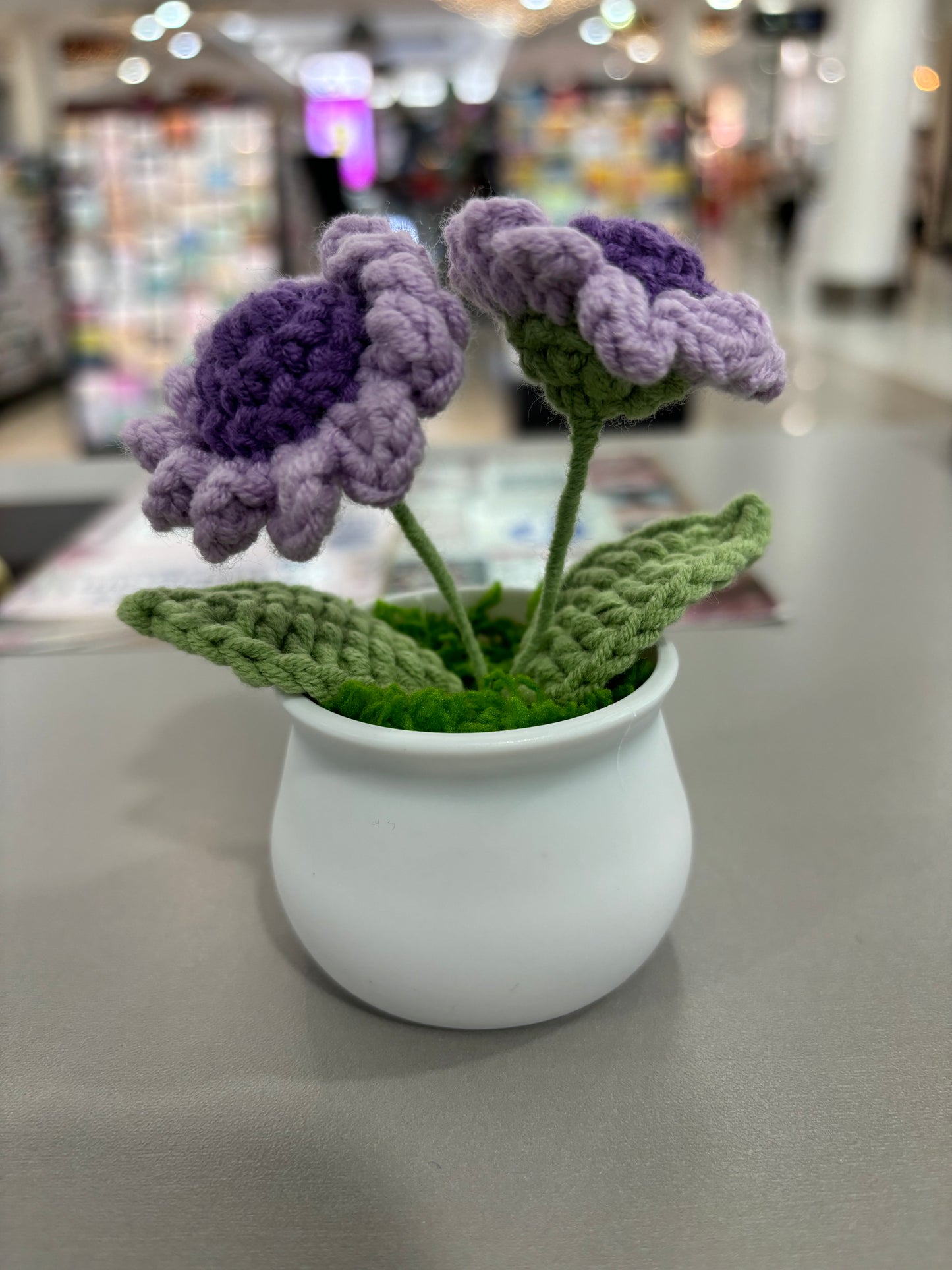 Hand-Crocheted Purple Daisy Flowers in Decorative Plastic Pot