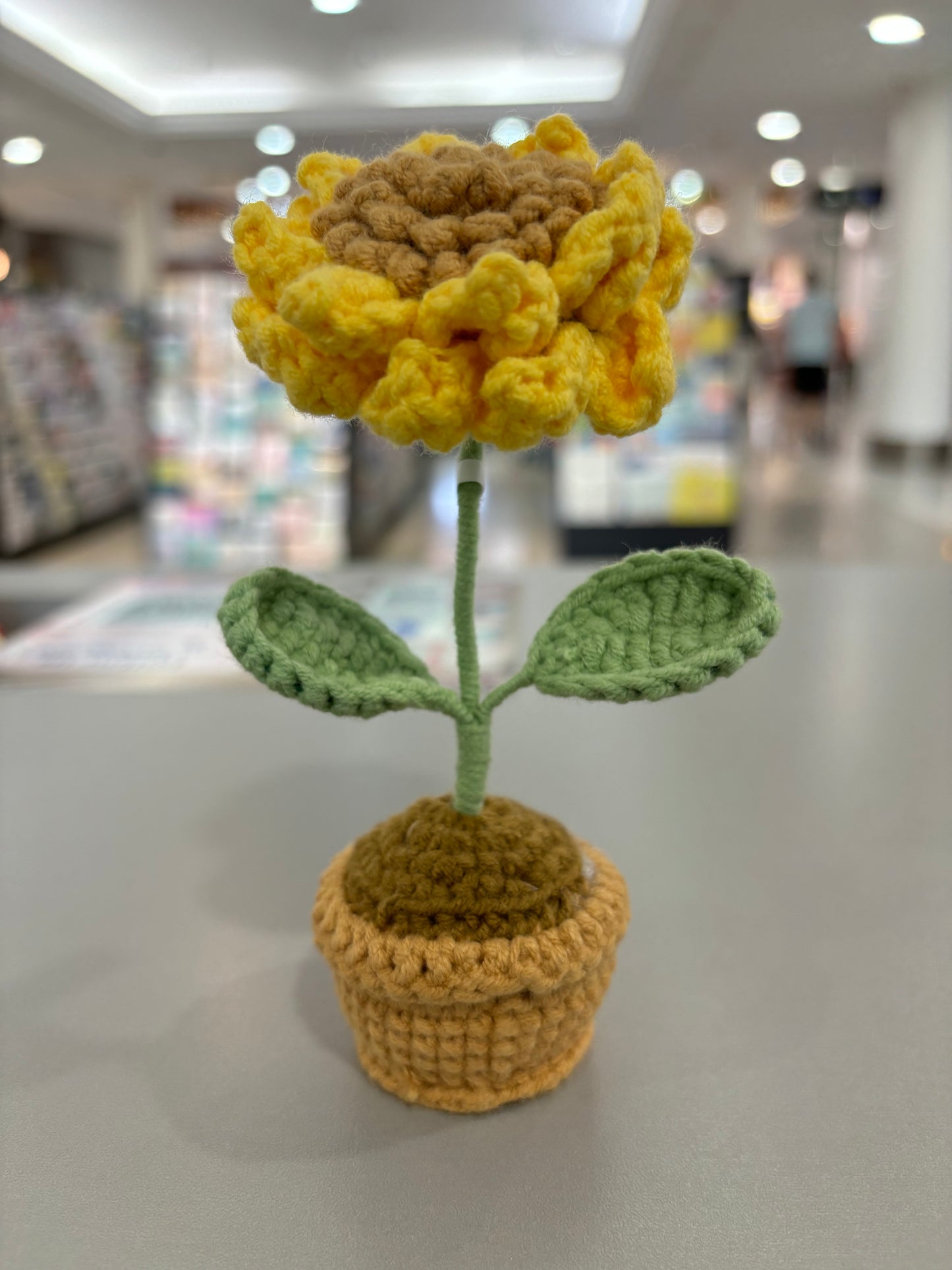 Handmade Crochet Sunflower with Textured Petals in Knitted Pot
