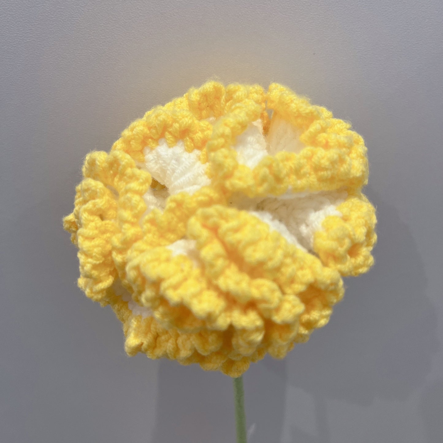 Carnation Crochet Flowers