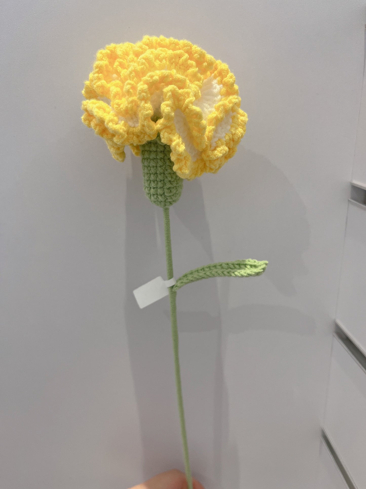 Carnation Crochet Flowers