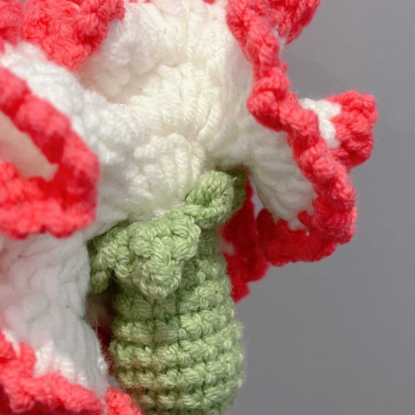 Carnation Crochet Flowers