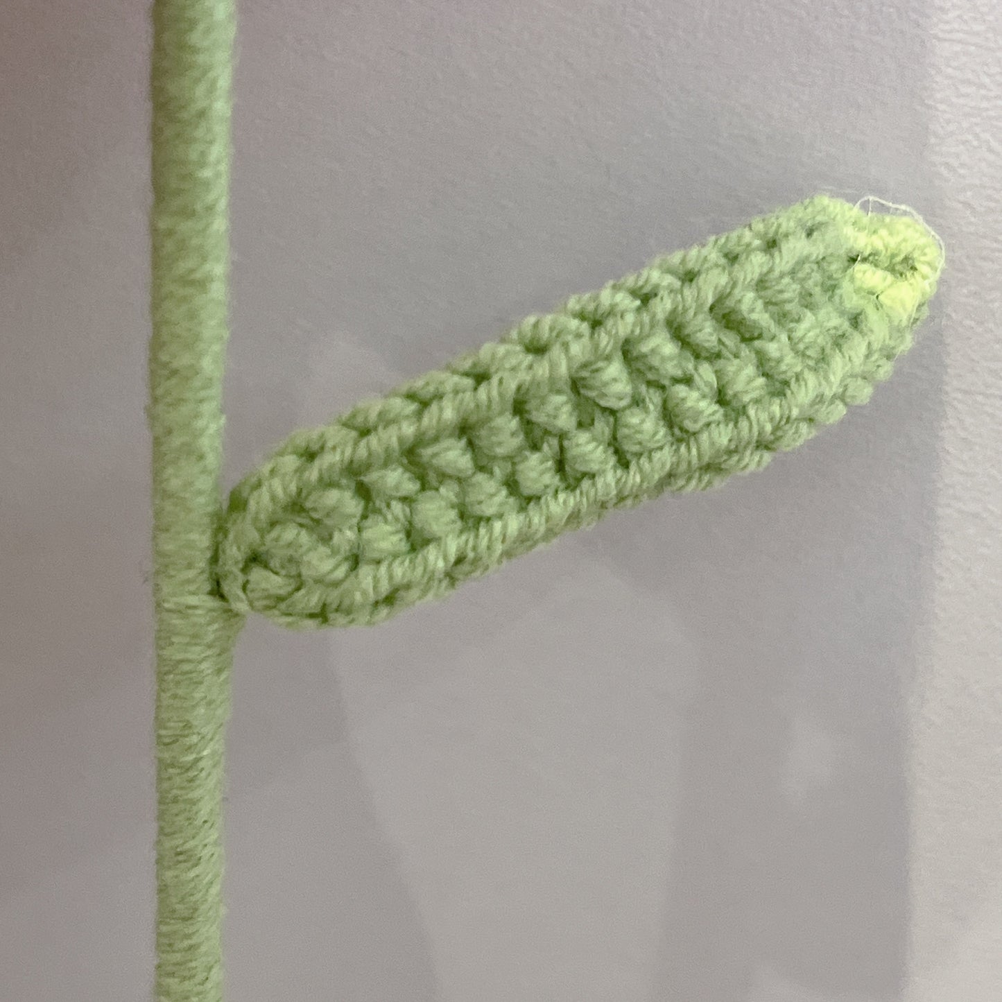 Carnation Crochet Flowers