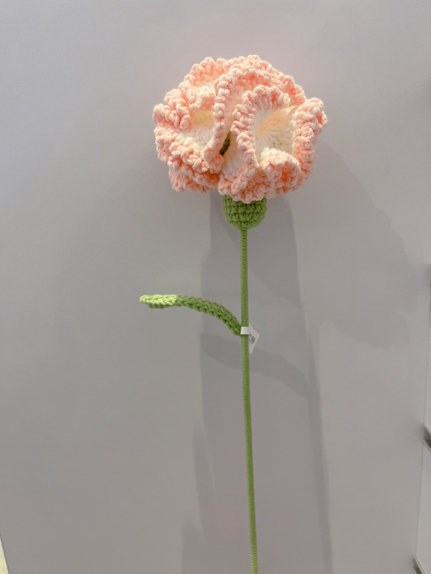 Carnation Crochet Flowers