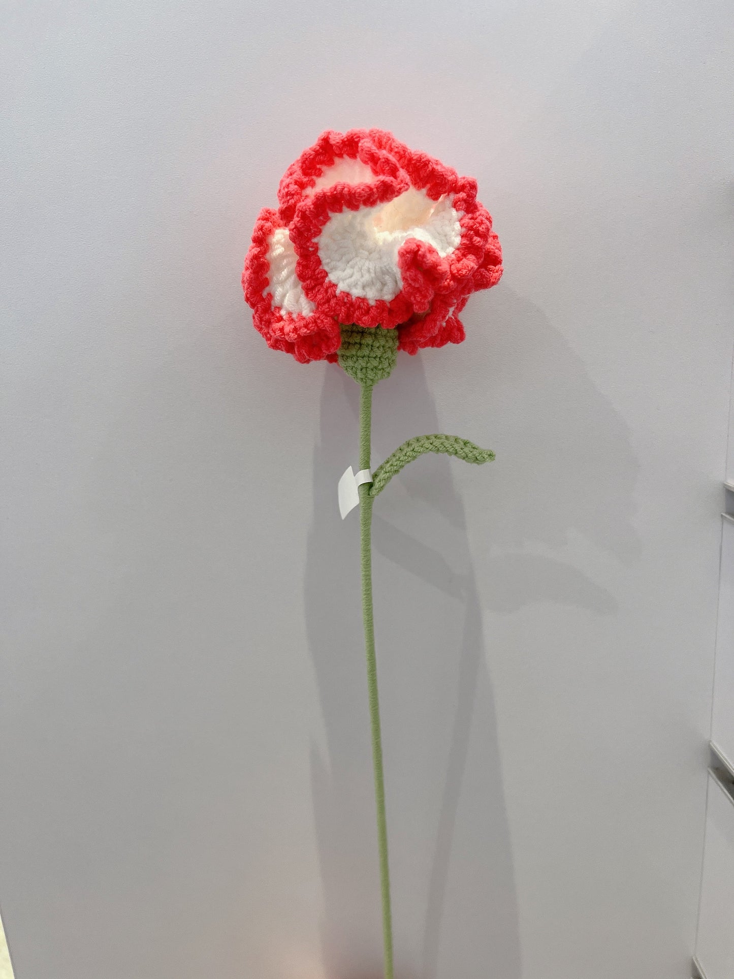 Carnation Crochet Flowers
