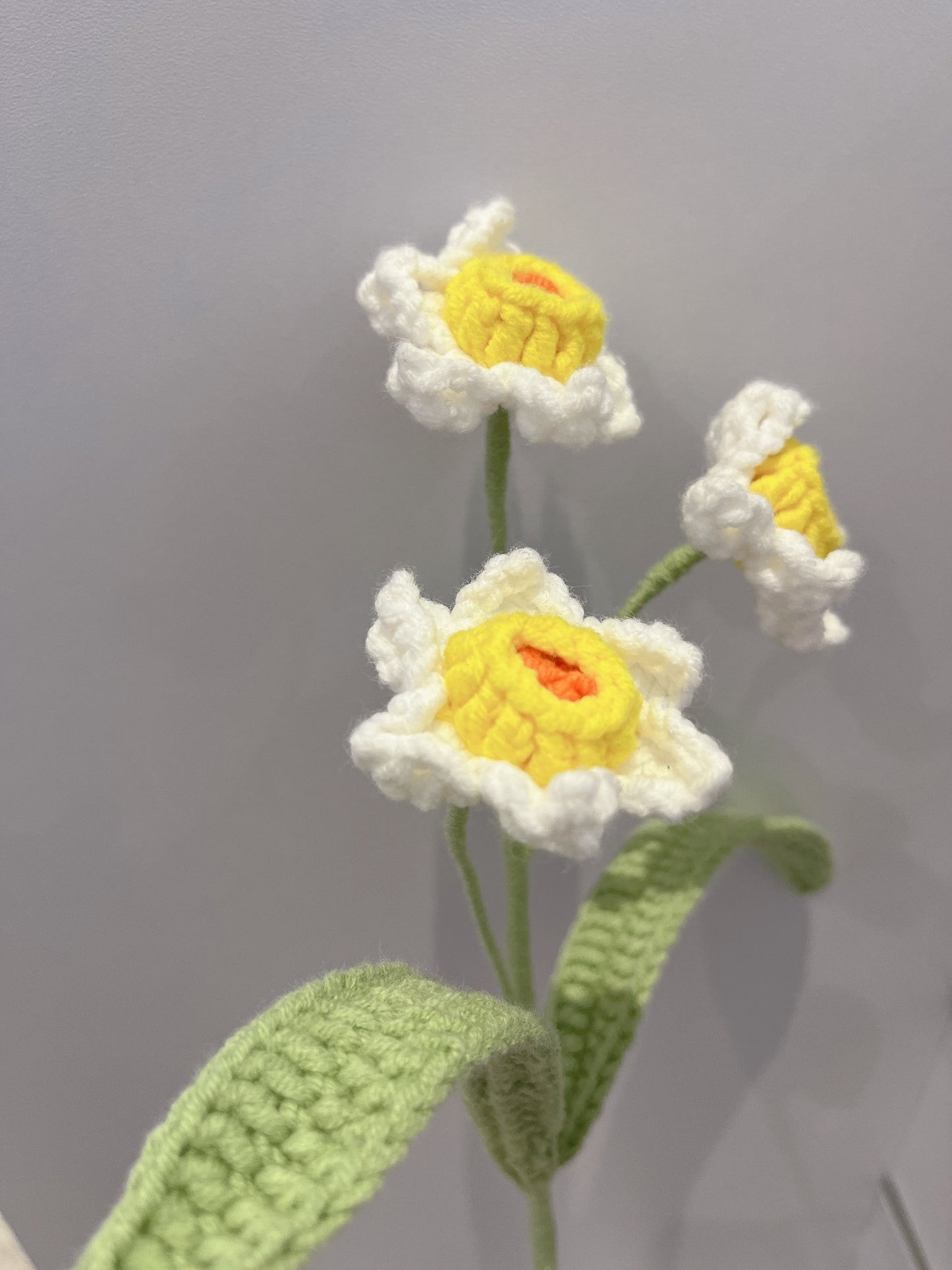 Daffodil Crochet Flowers