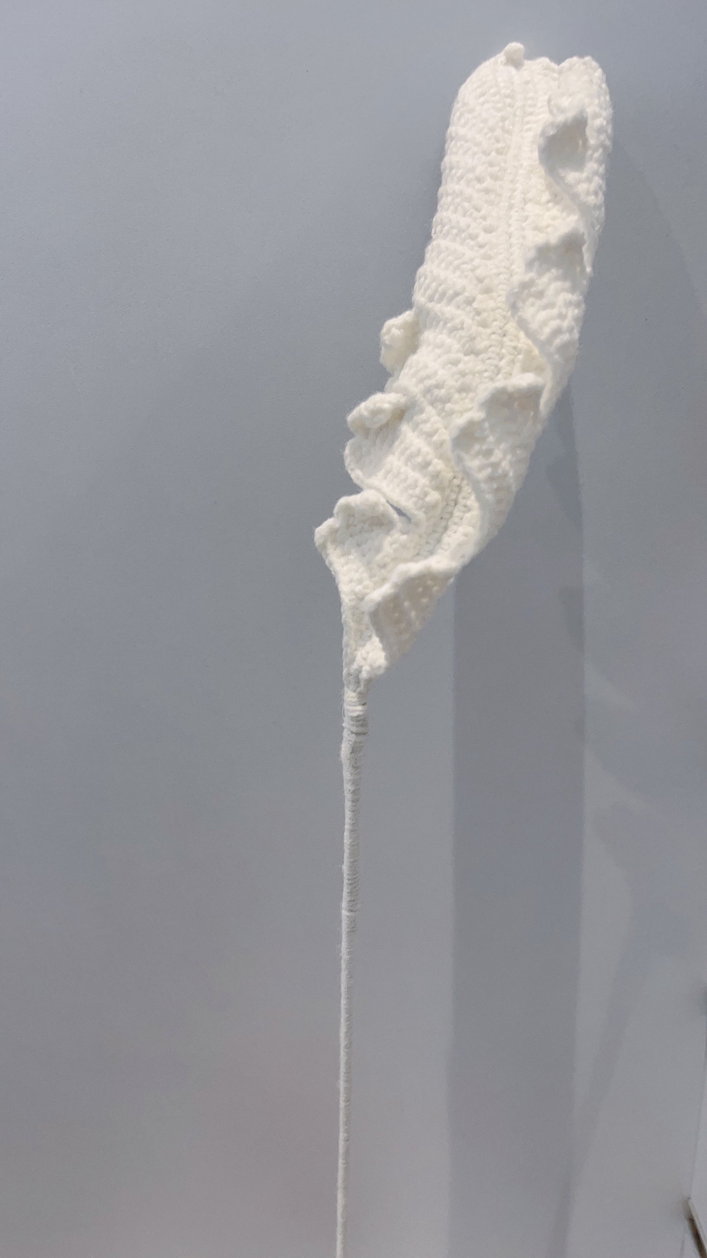 Handmade Crochet Feather-shaped Leaves