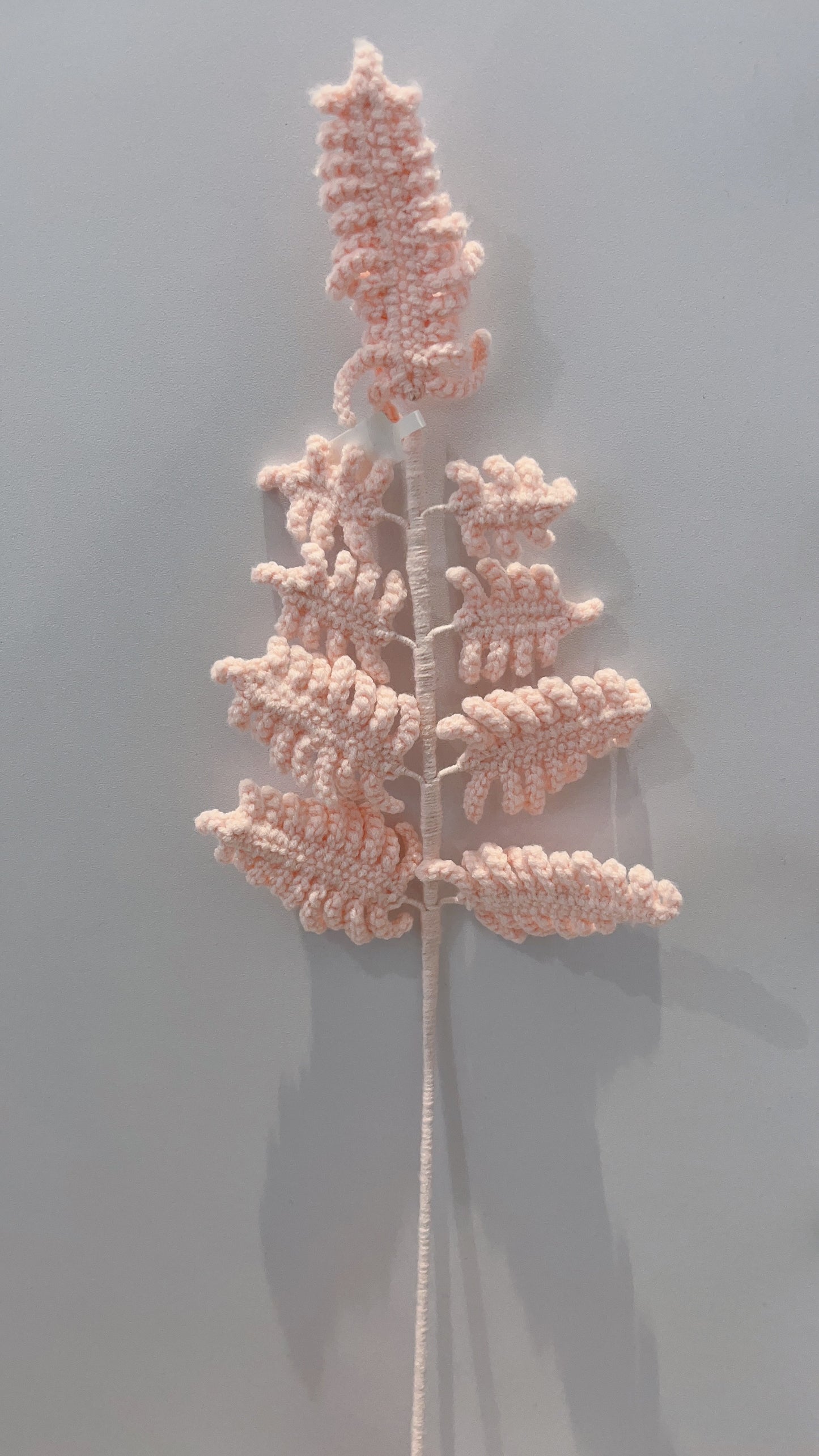 Handmade Crochet Fern Leaves