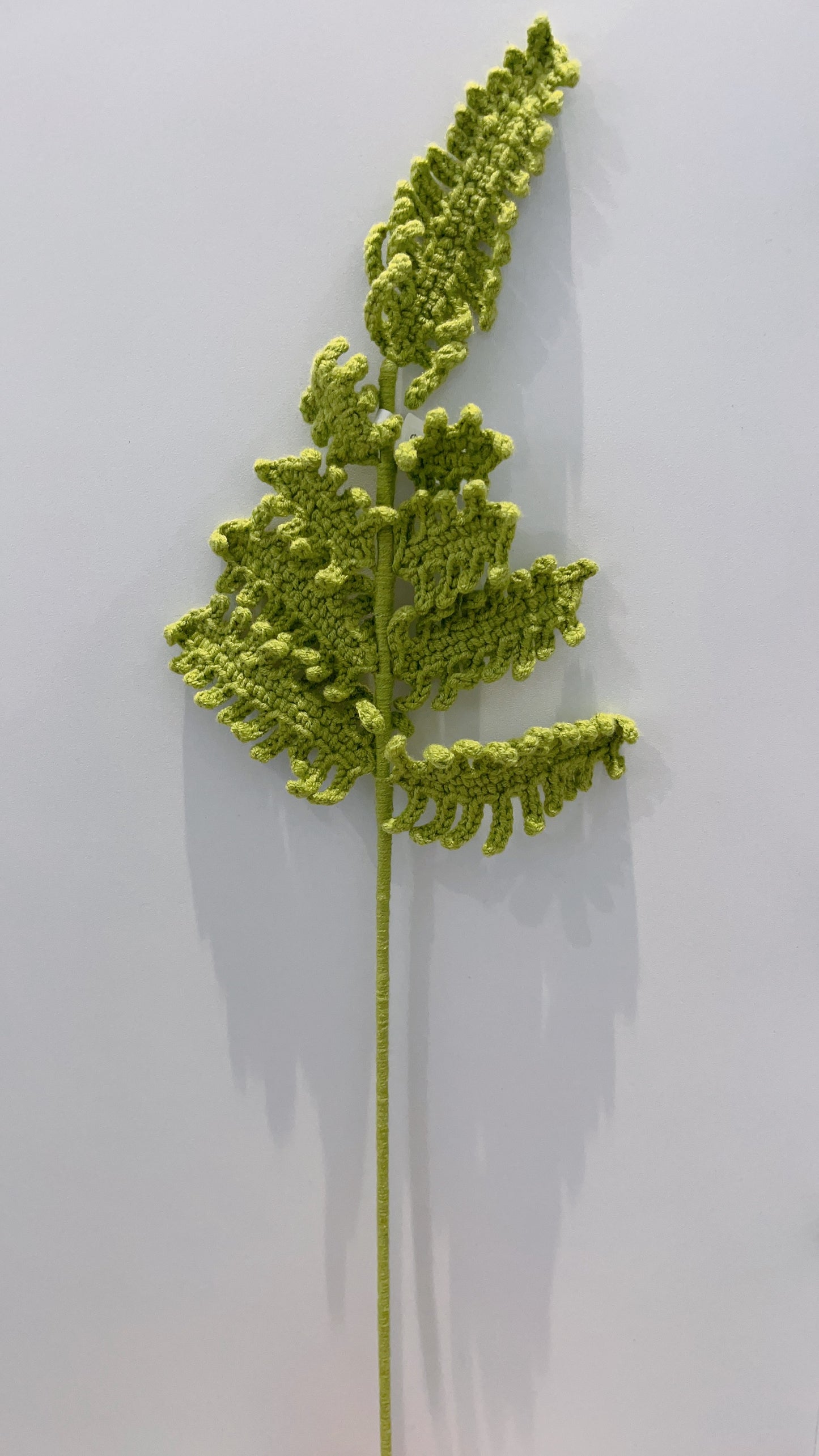 Handmade Crochet Fern Leaves