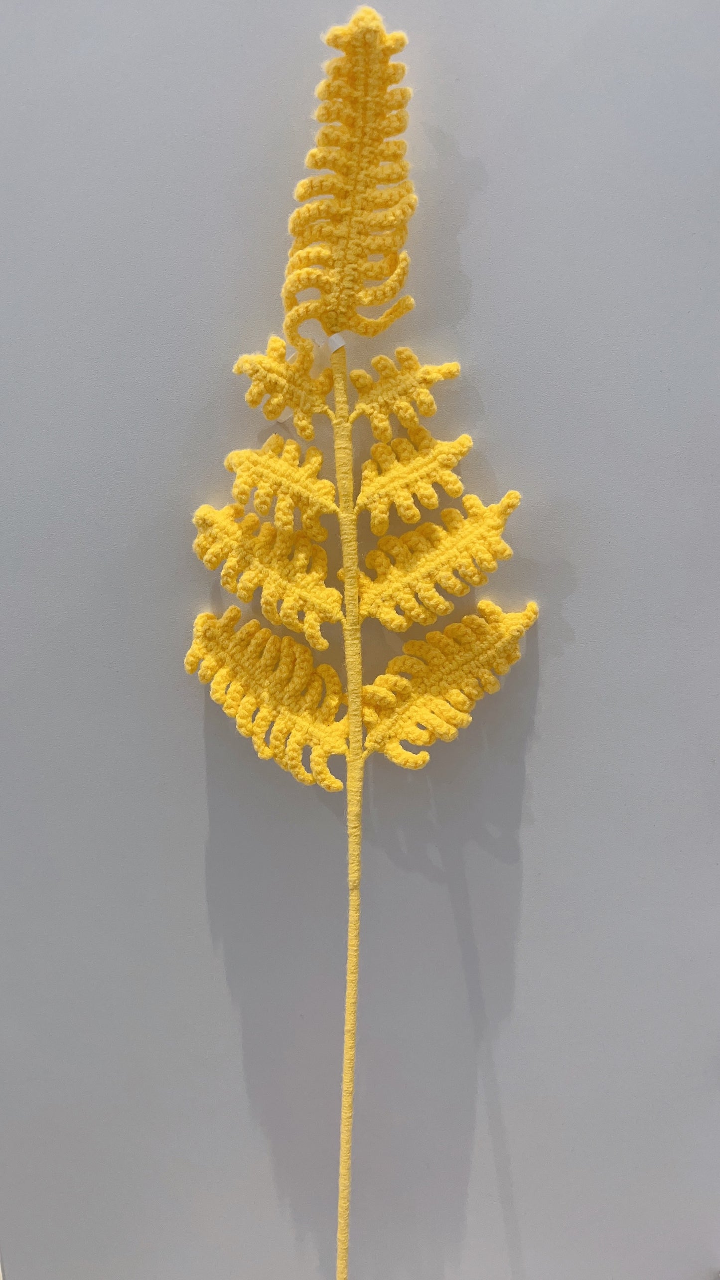 Handmade Crochet Fern Leaves