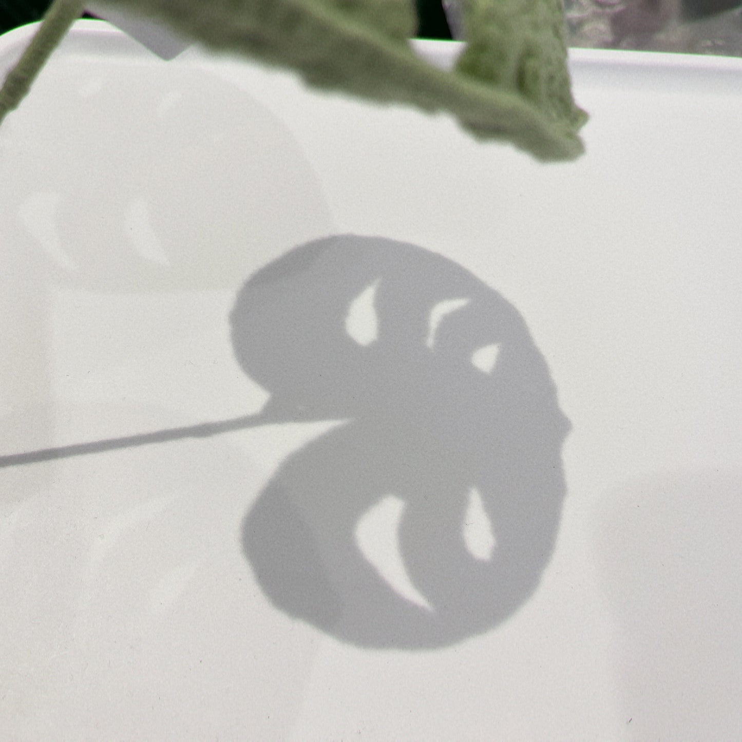 Handmade Crochet Monstera Leaf