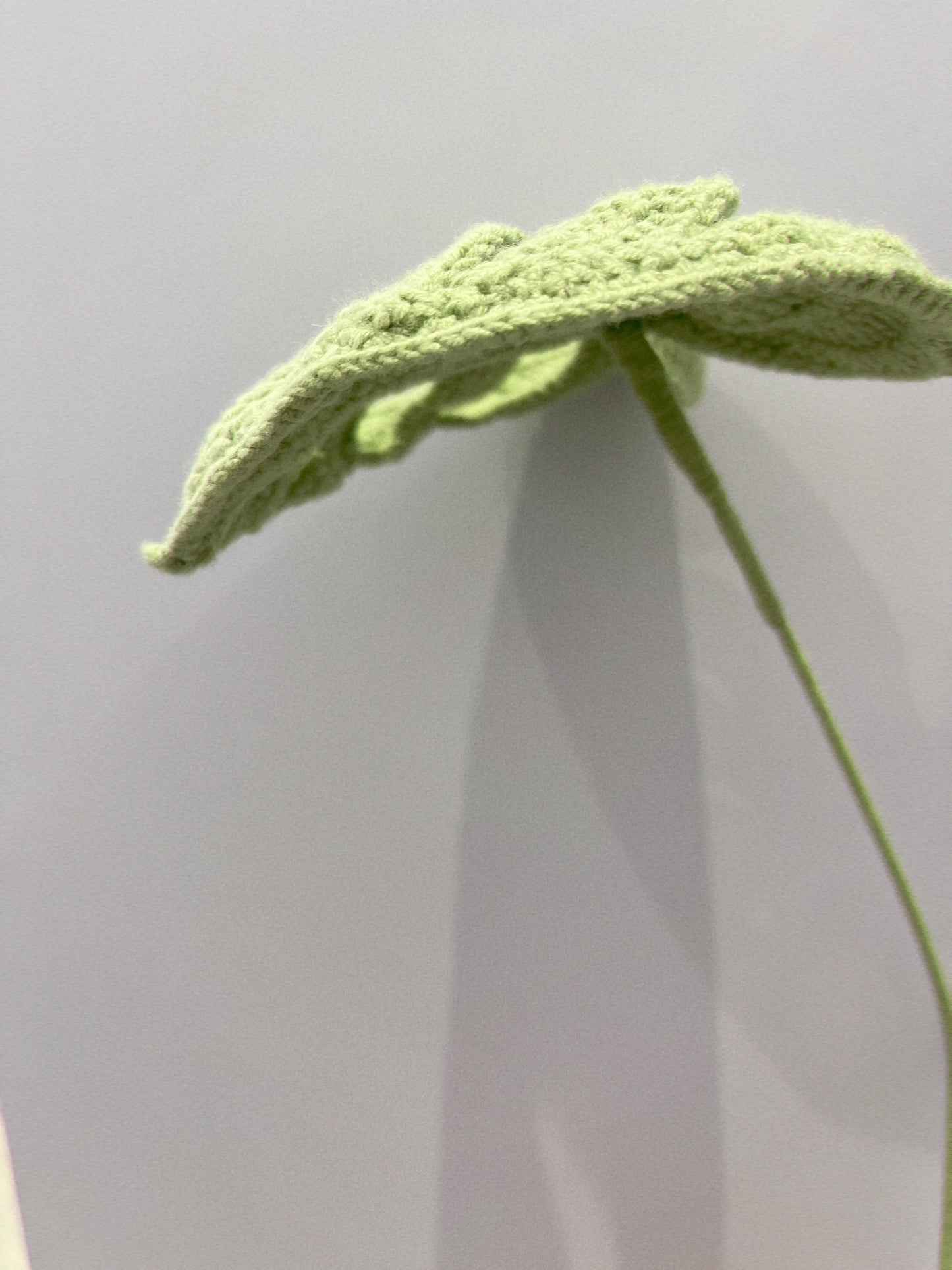 Handmade Crochet Monstera Leaf