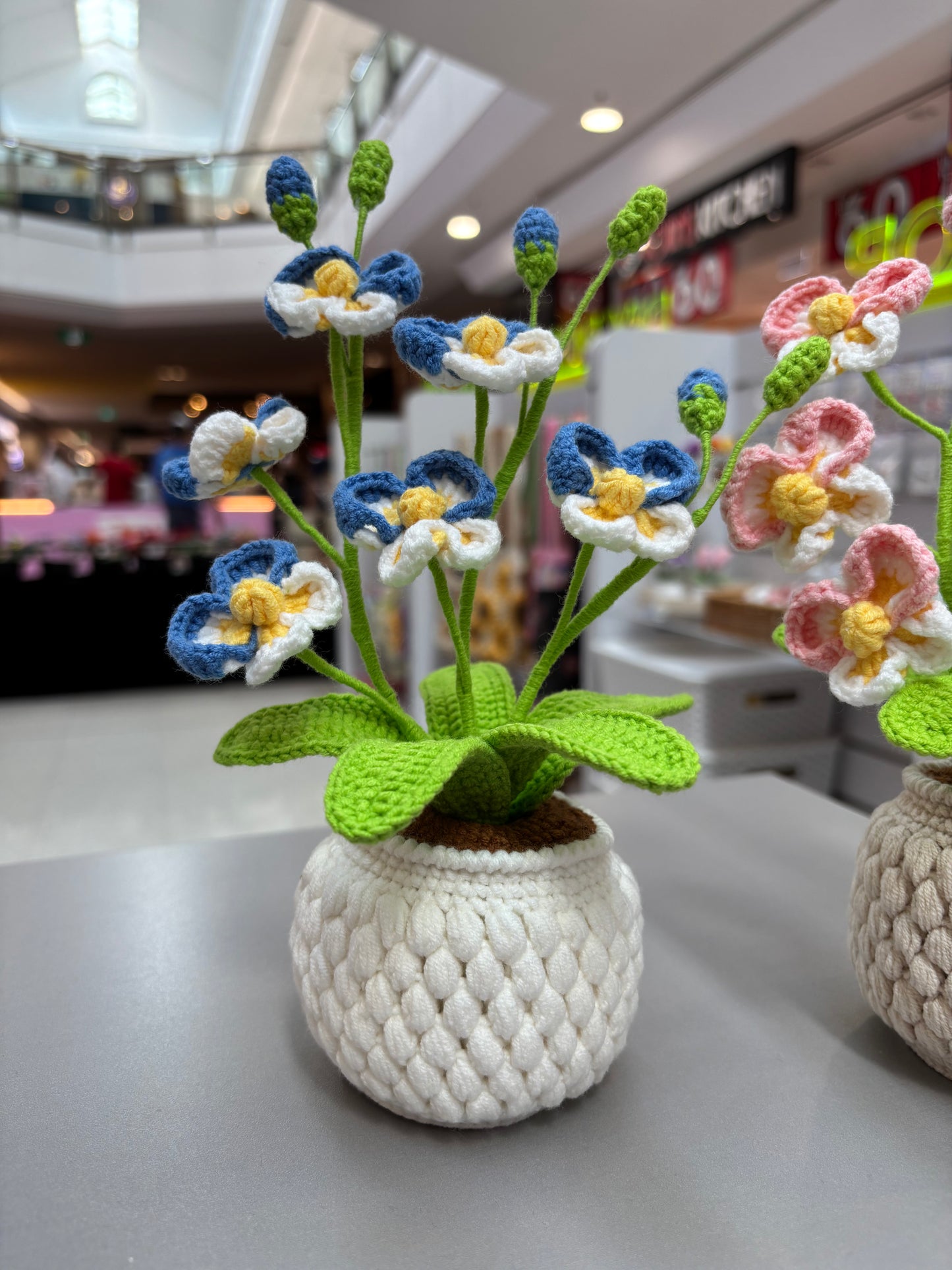 Handmade Crochet Orchid Flower Pot – Blue or Pink