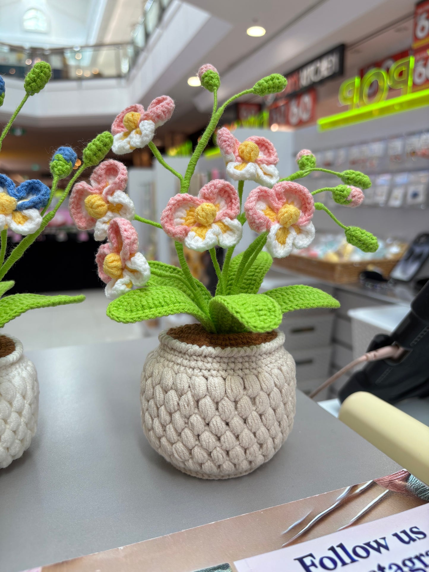 Handmade Crochet Orchid Flower Pot – Blue or Pink