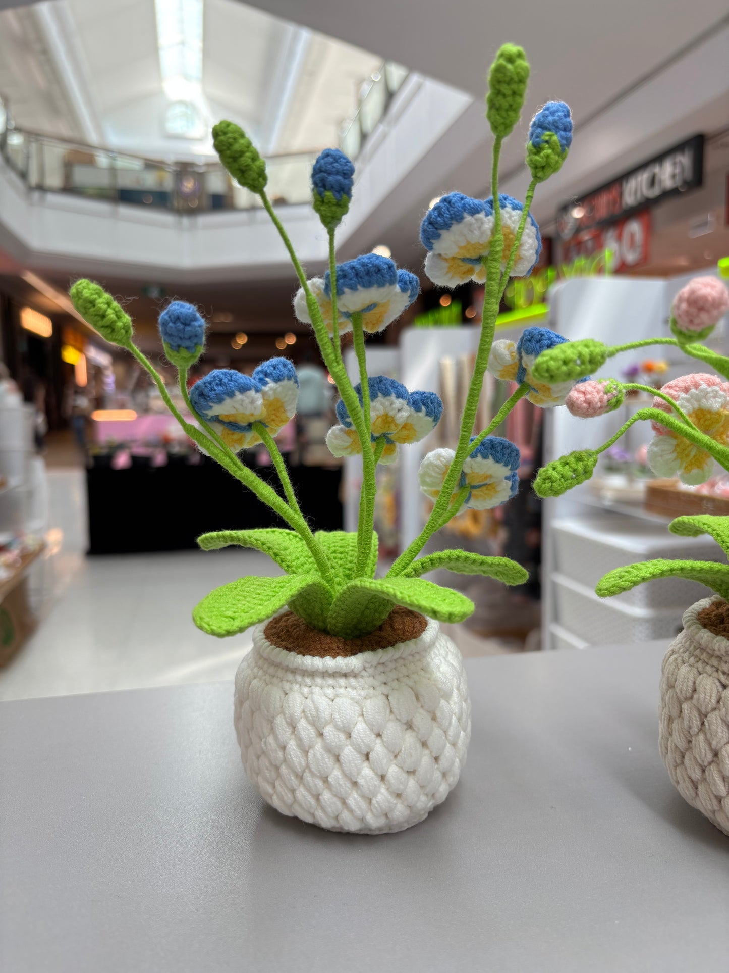 Handmade Crochet Orchid Flower Pot – Blue or Pink