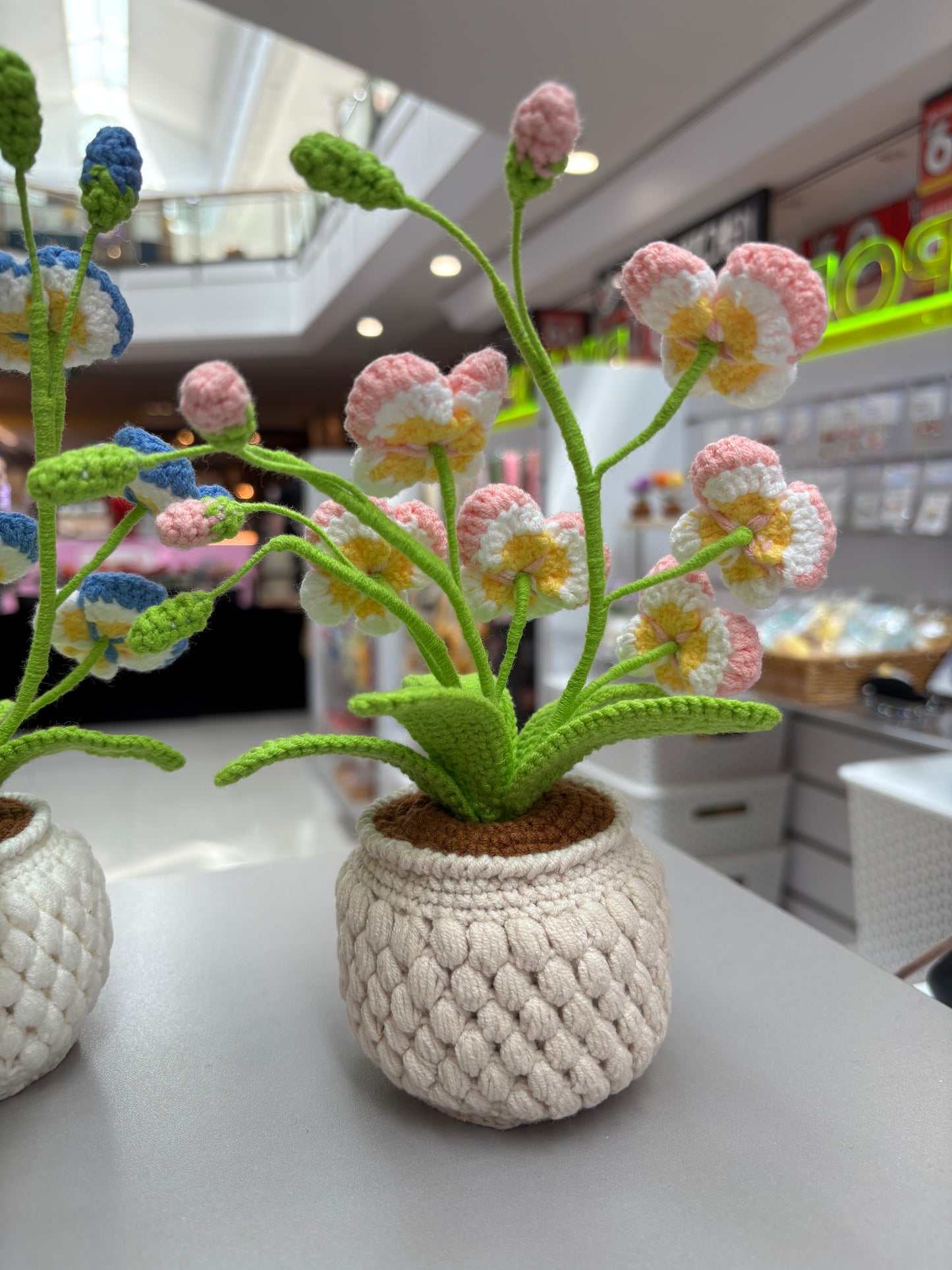 Handmade Crochet Orchid Flower Pot – Blue or Pink