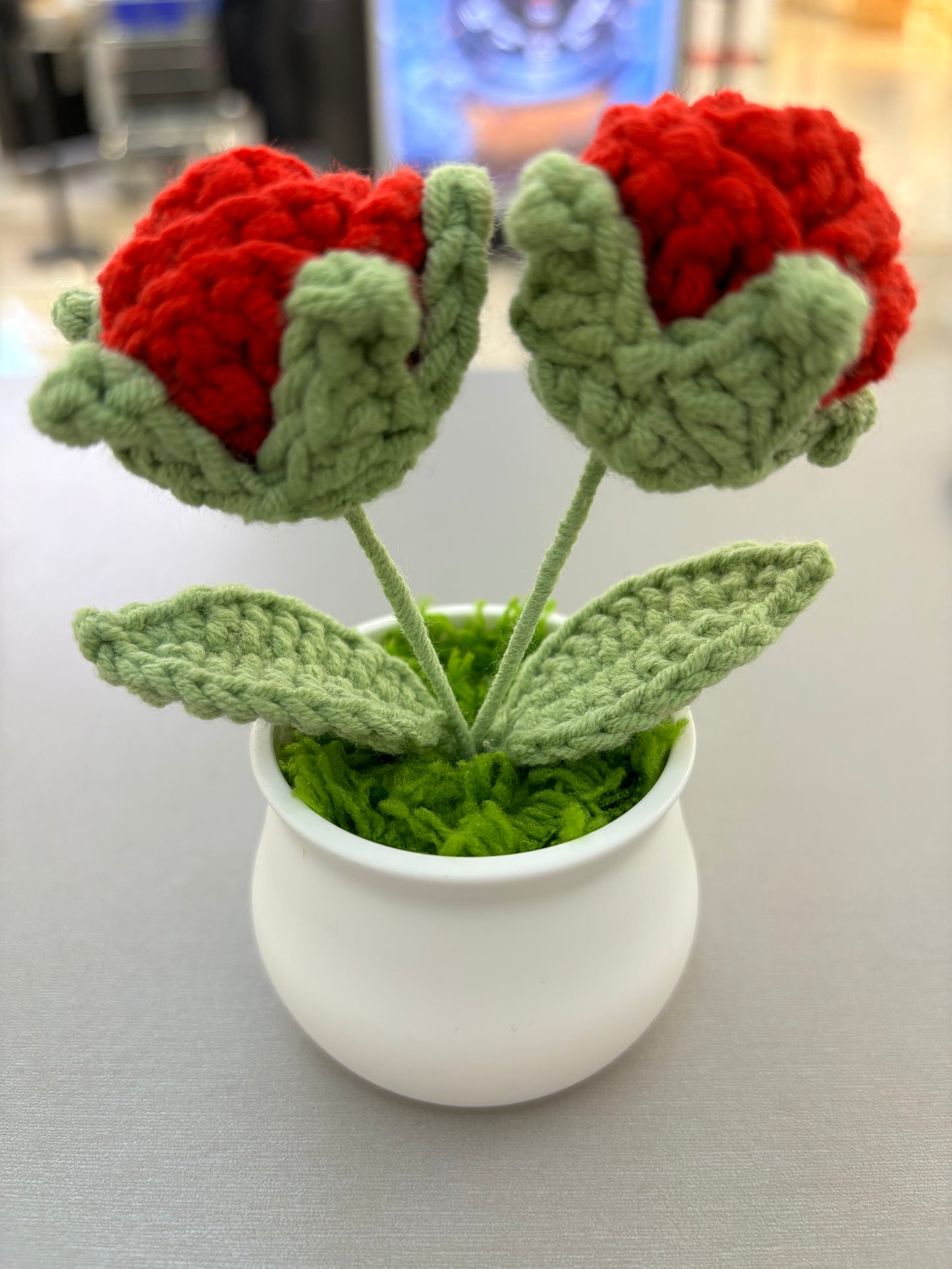 Hand-Crocheted Double Red Rose in White Pot