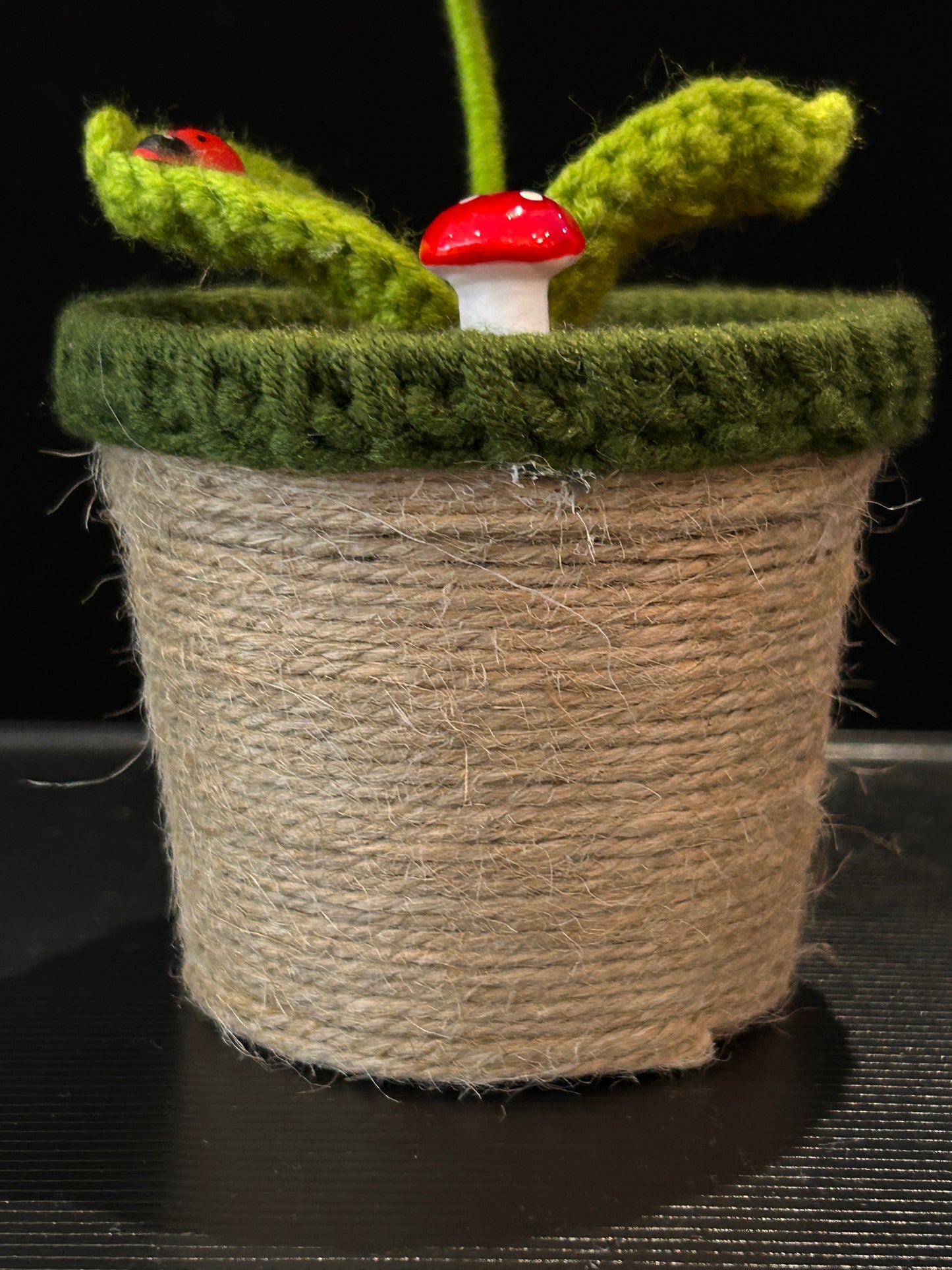 Sunflower Pot (Smile Face)