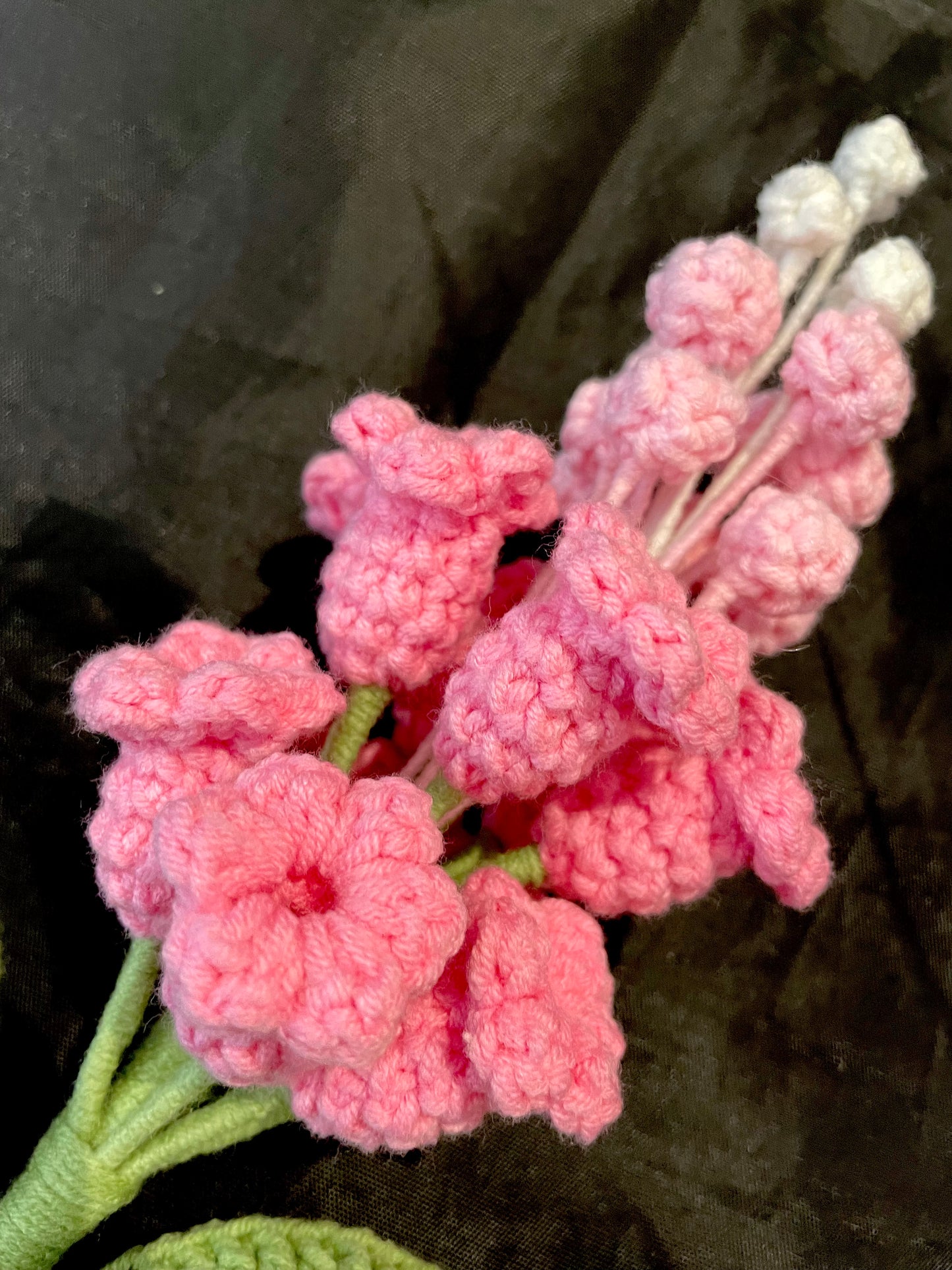 Hyacinth