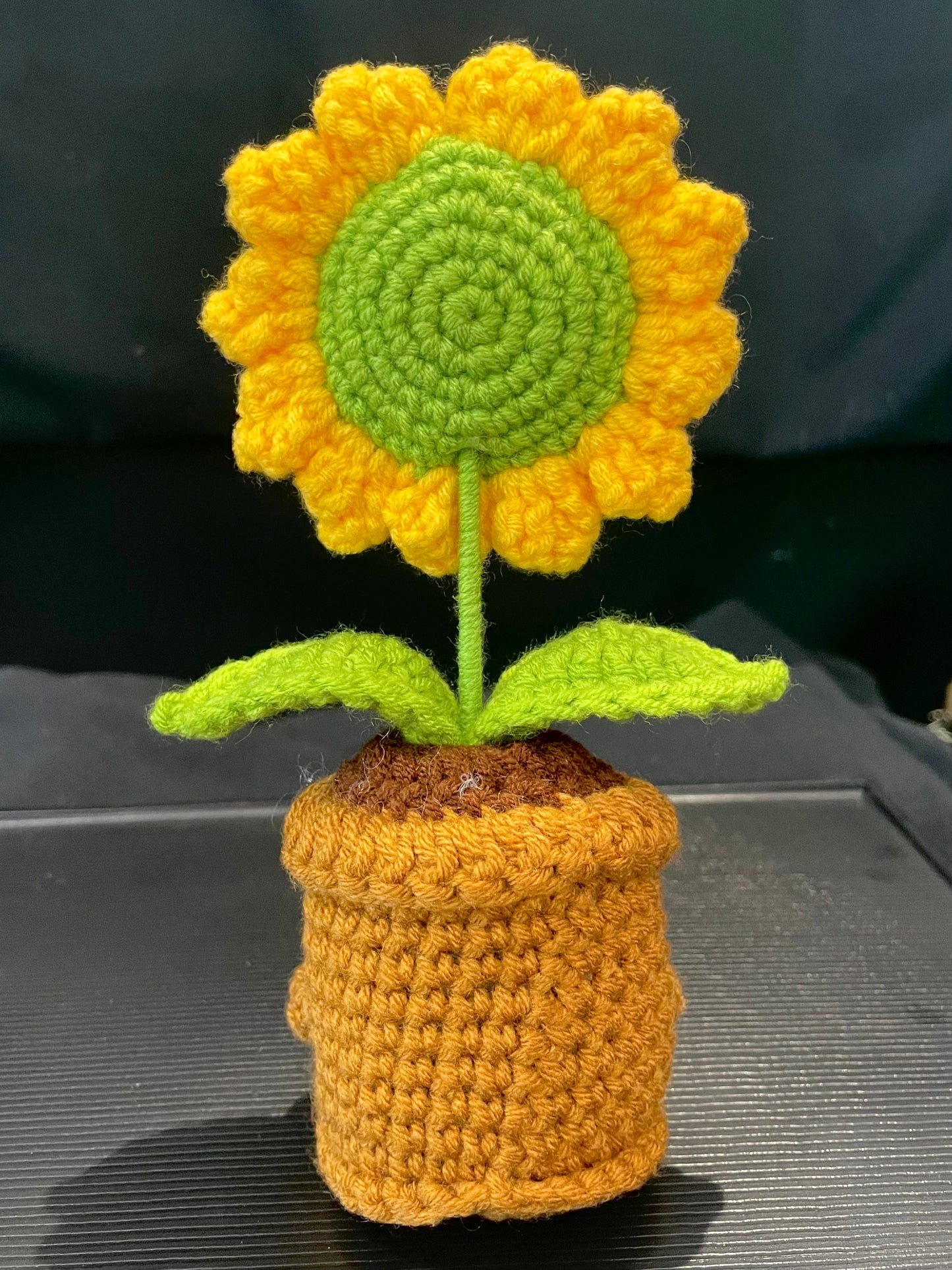 Emotional Support Plant (Sunflower)