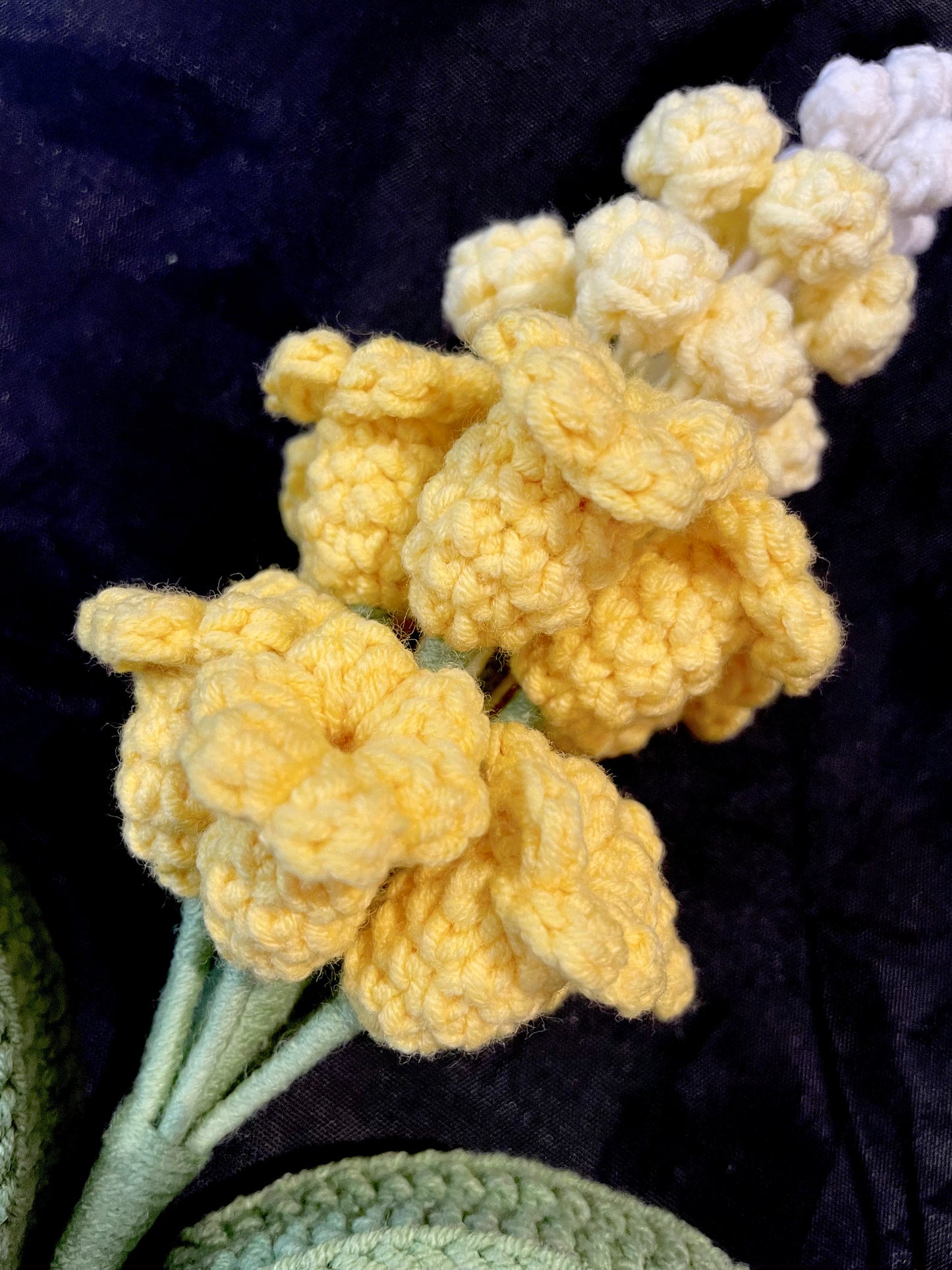 Hyacinth