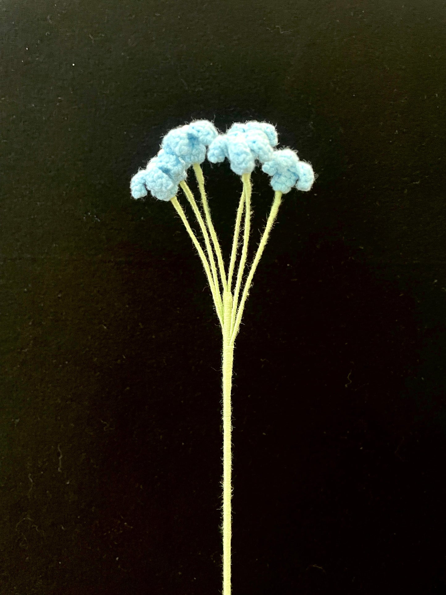 Baby’s Breath