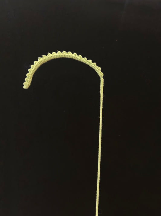 Single Curly Leaves